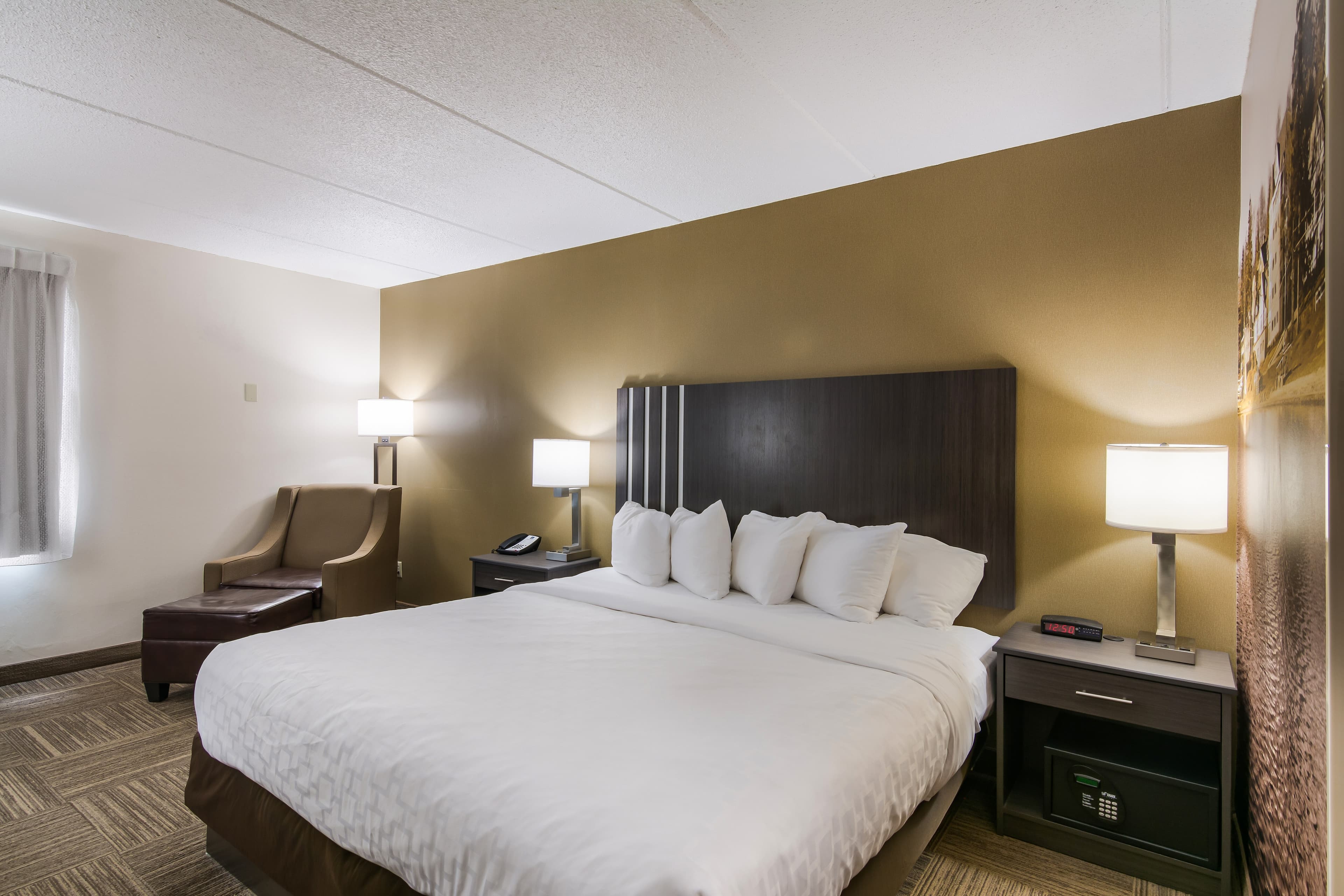 Clarion Pointe Jamestown - Falconer — 7