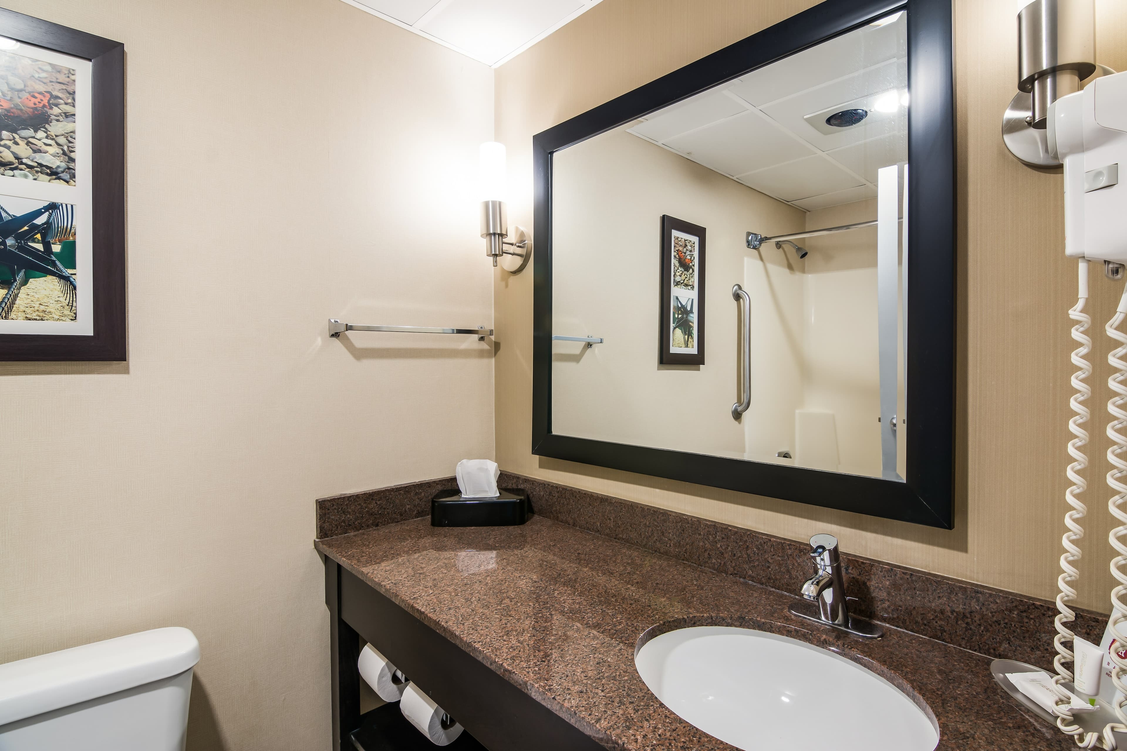 Clarion Pointe Jamestown - Falconer — 6
