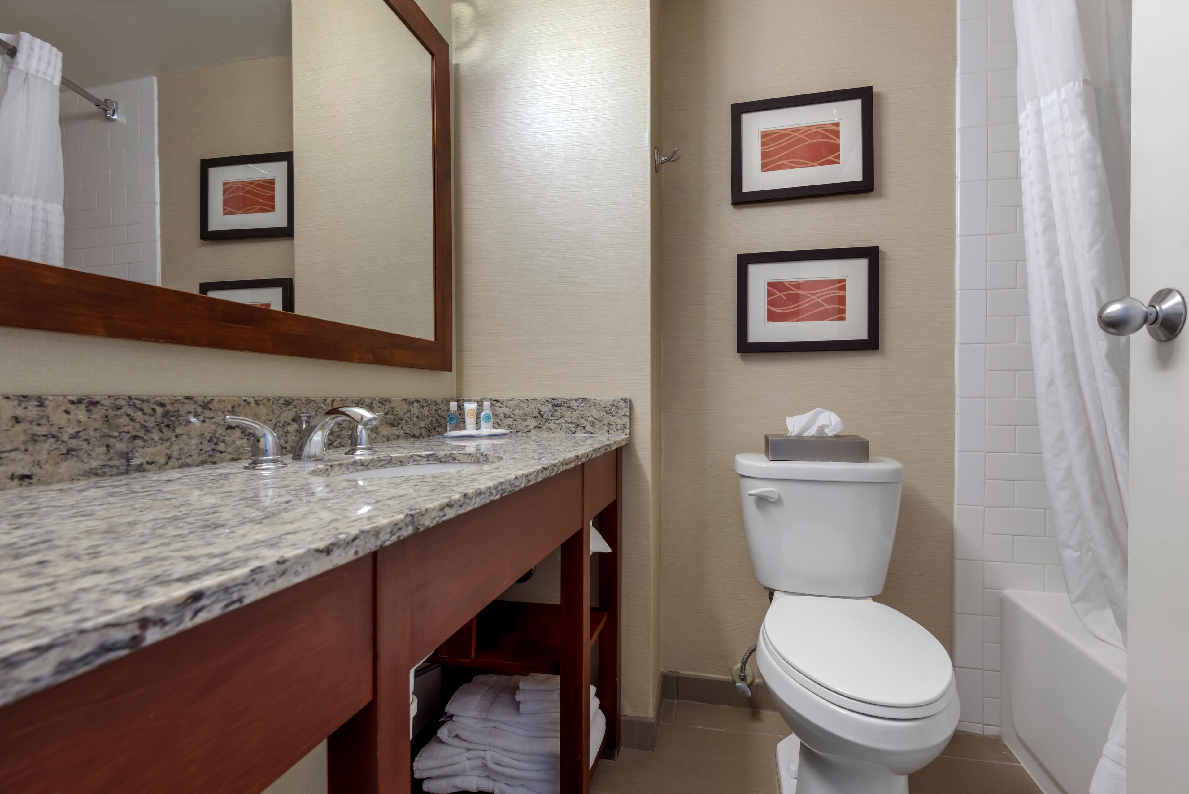 Comfort Inn The Pointe — 19