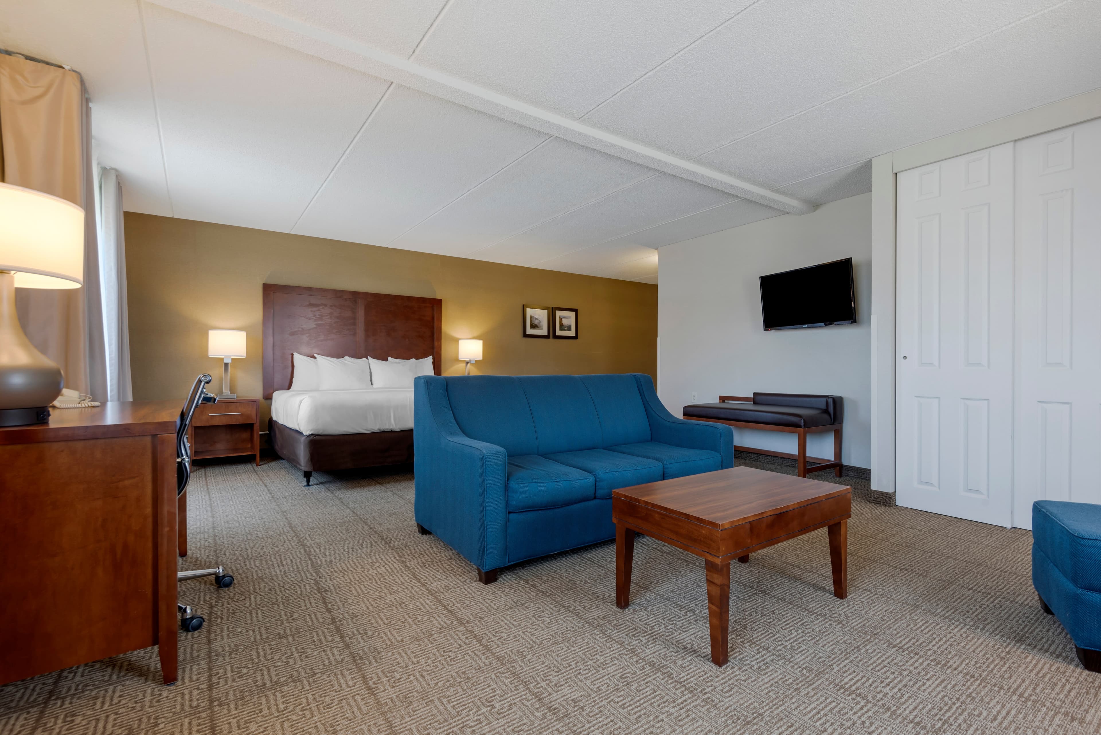 Comfort Inn The Pointe — 38