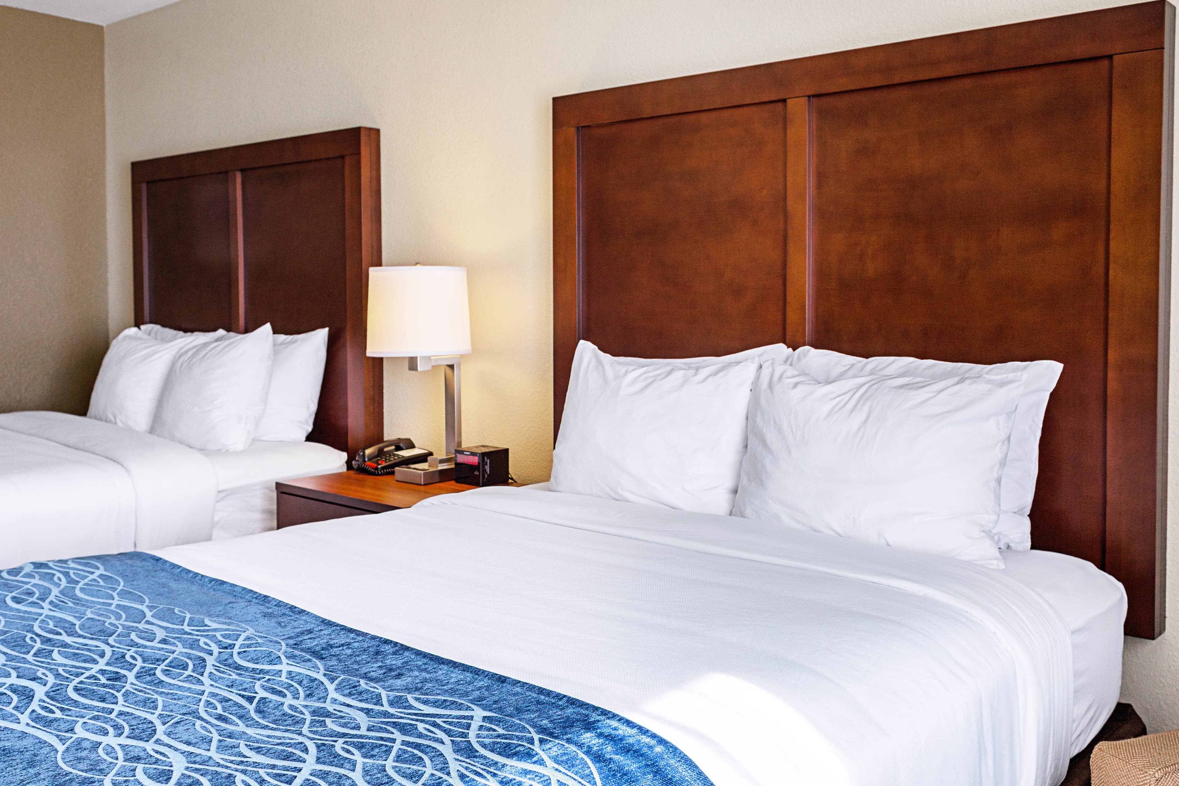 Comfort Inn & Suites Niagara Falls Blvd USA — 8