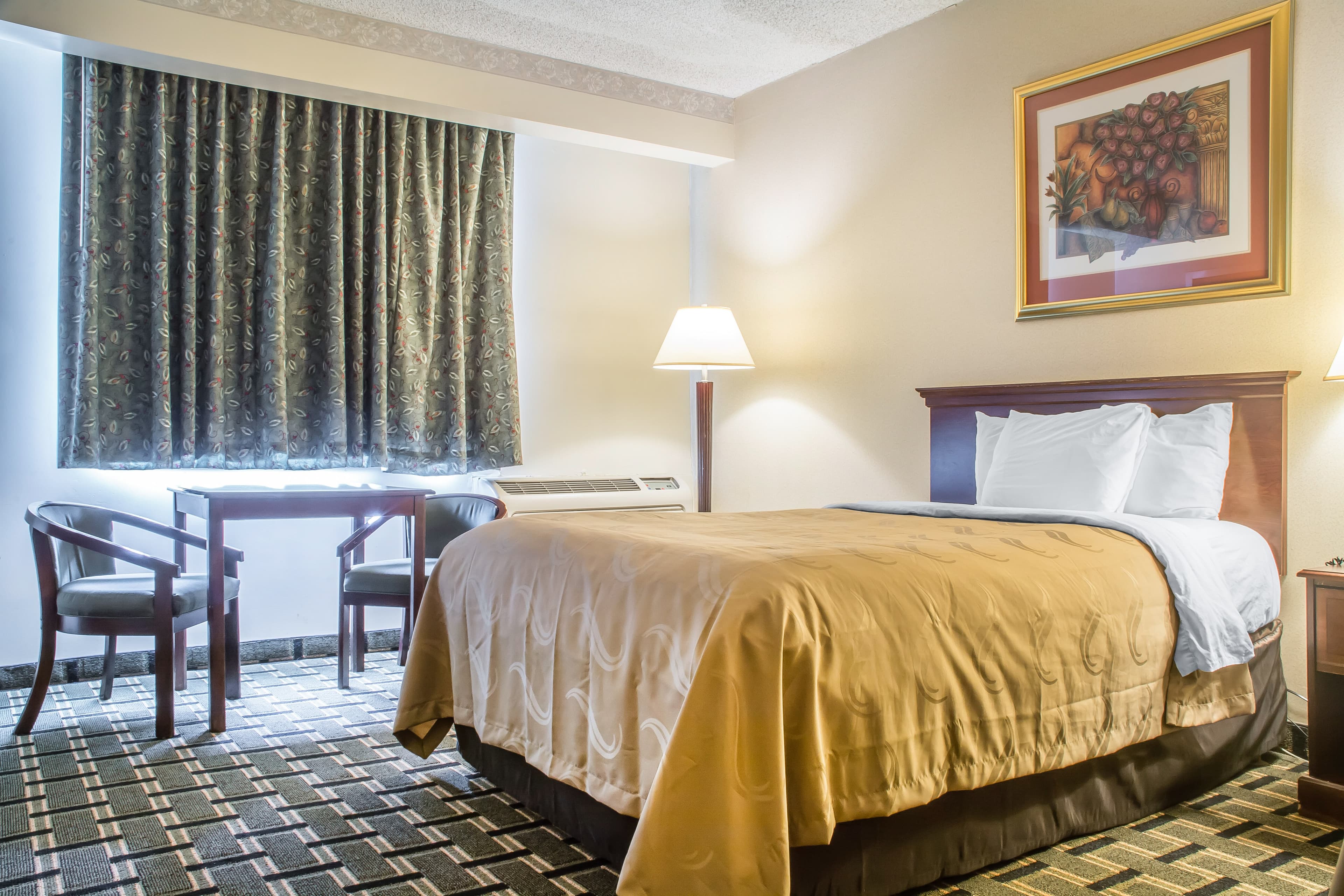 Quality Inn & Suites Palm Island Indoor Waterpark - Image 4