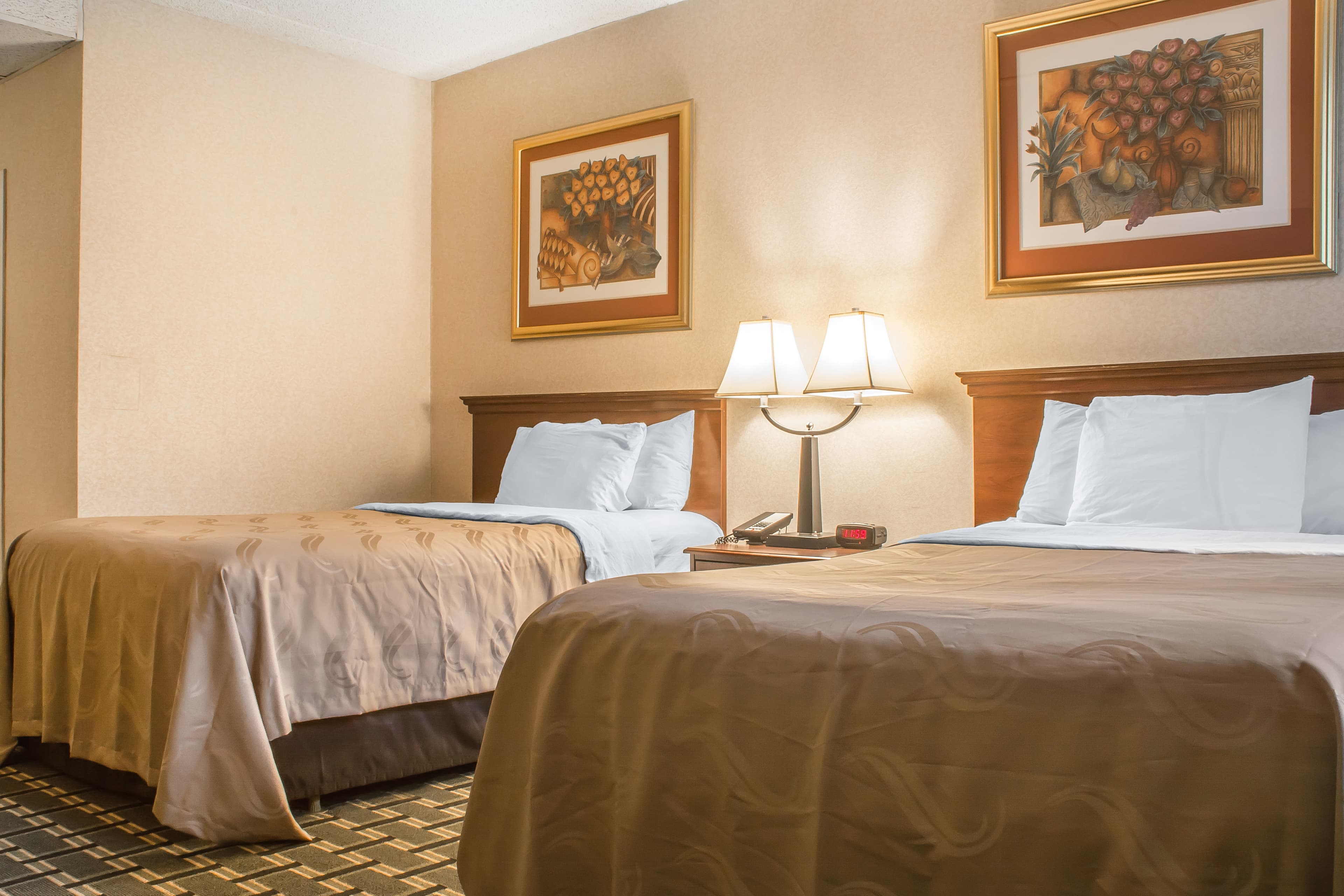 Quality Inn & Suites Palm Island Indoor Waterpark — 31