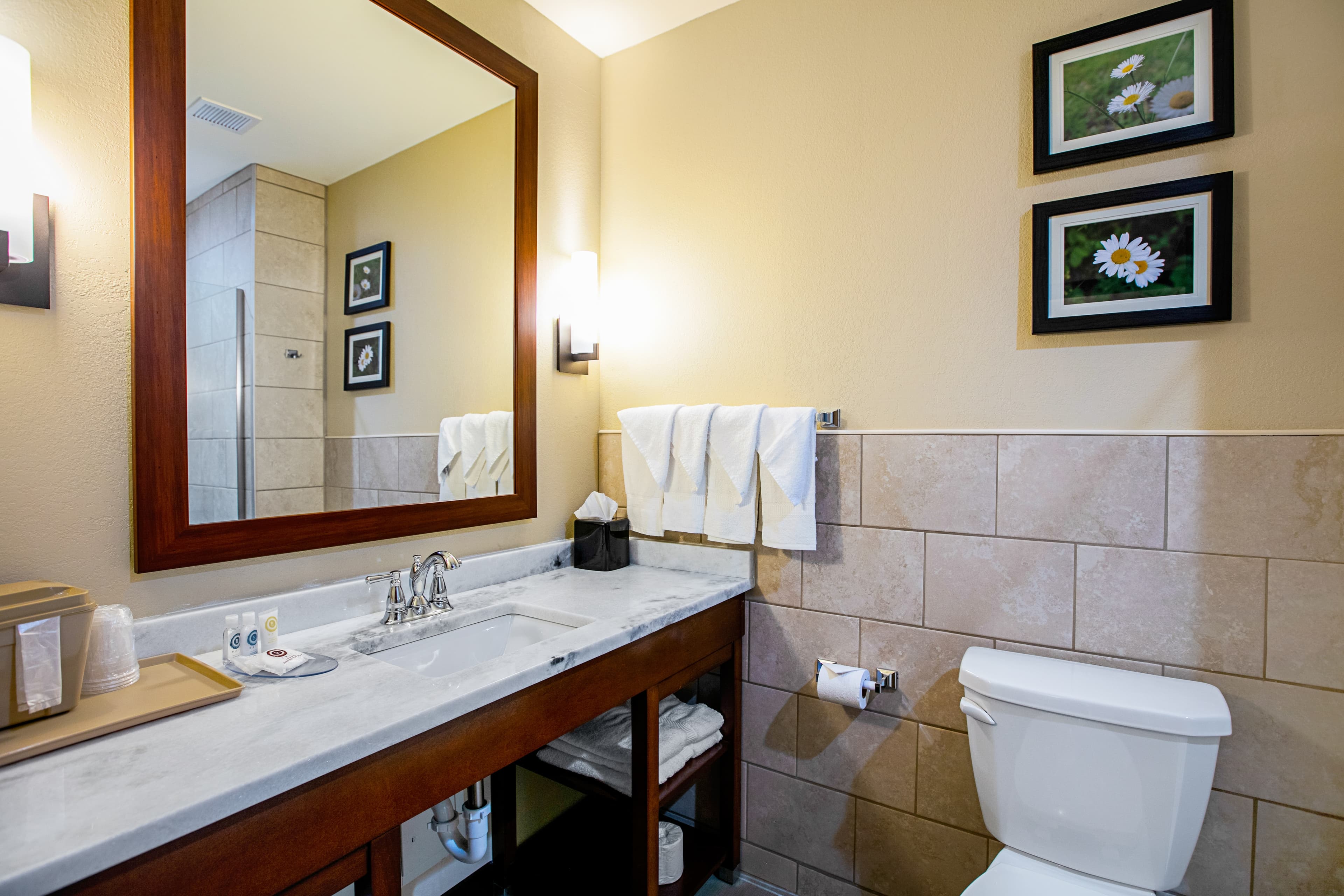 Comfort Suites Fishkill near Interstate 84 — 13