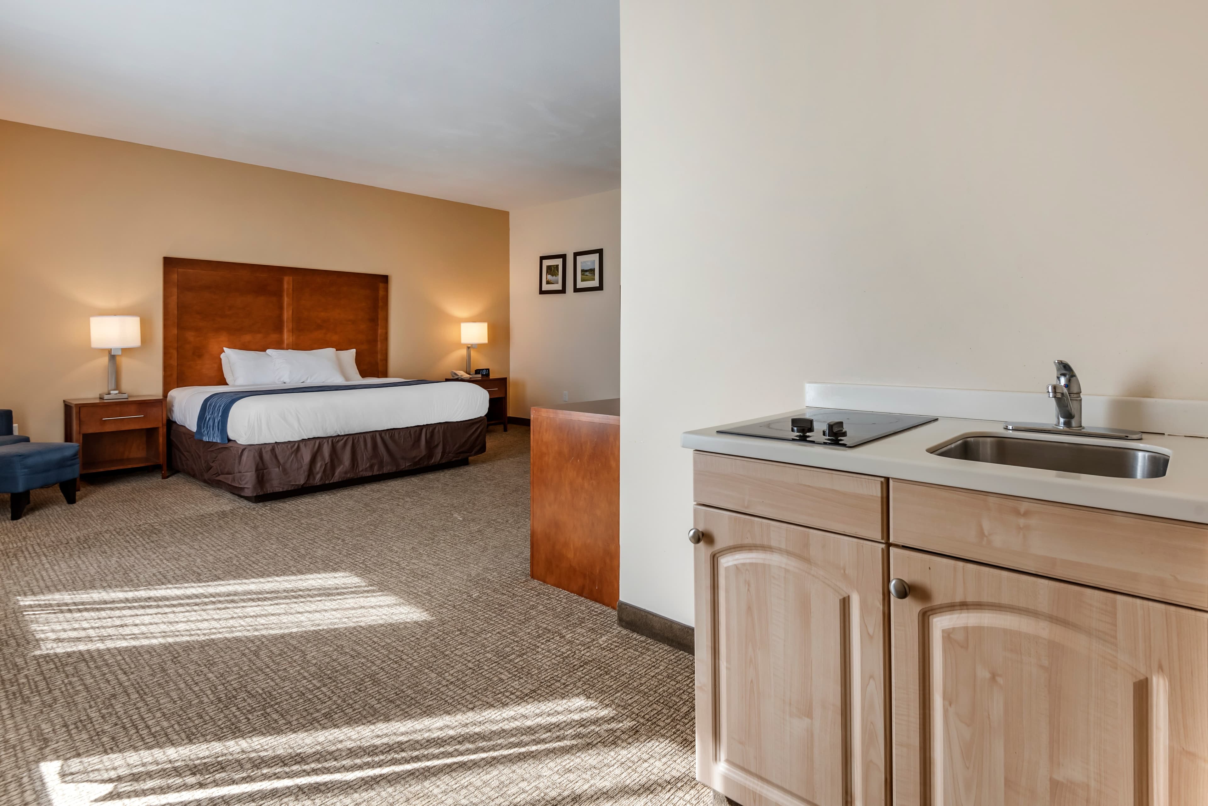 Comfort Inn Apalachin / Binghamton W Route 17 — 20