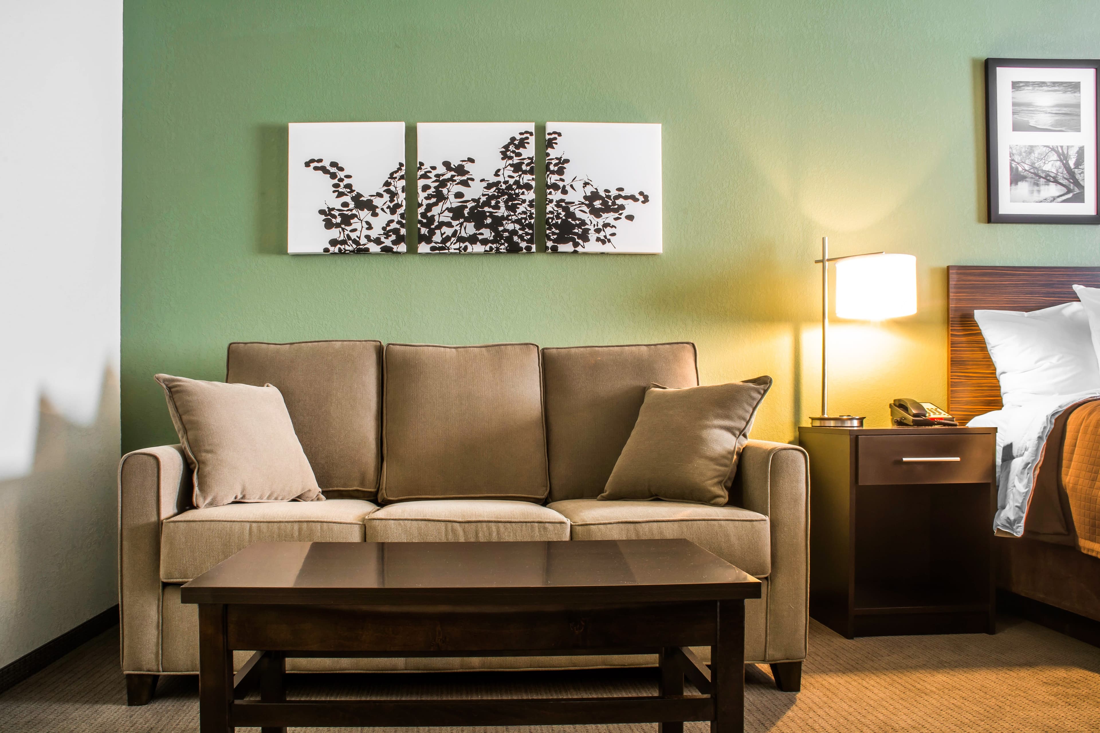 Sleep Inn & Suites Syracuse Airport — 12