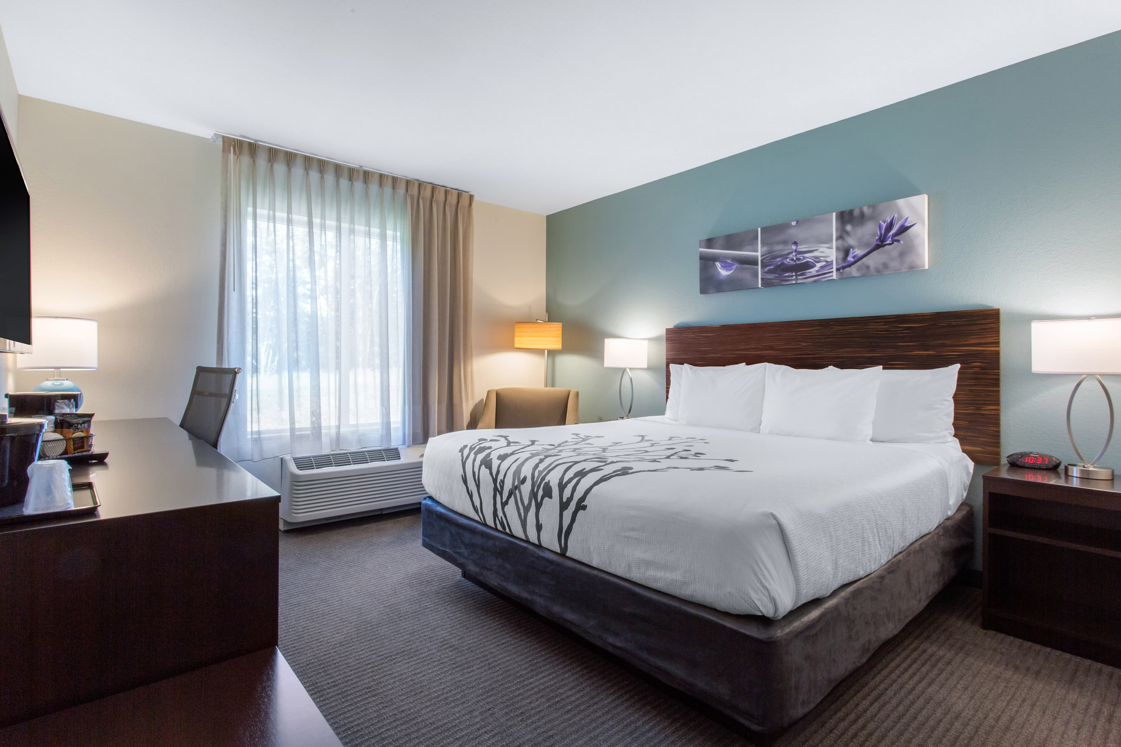 Sleep Inn & Suites Monroe - Woodbury - Image 1