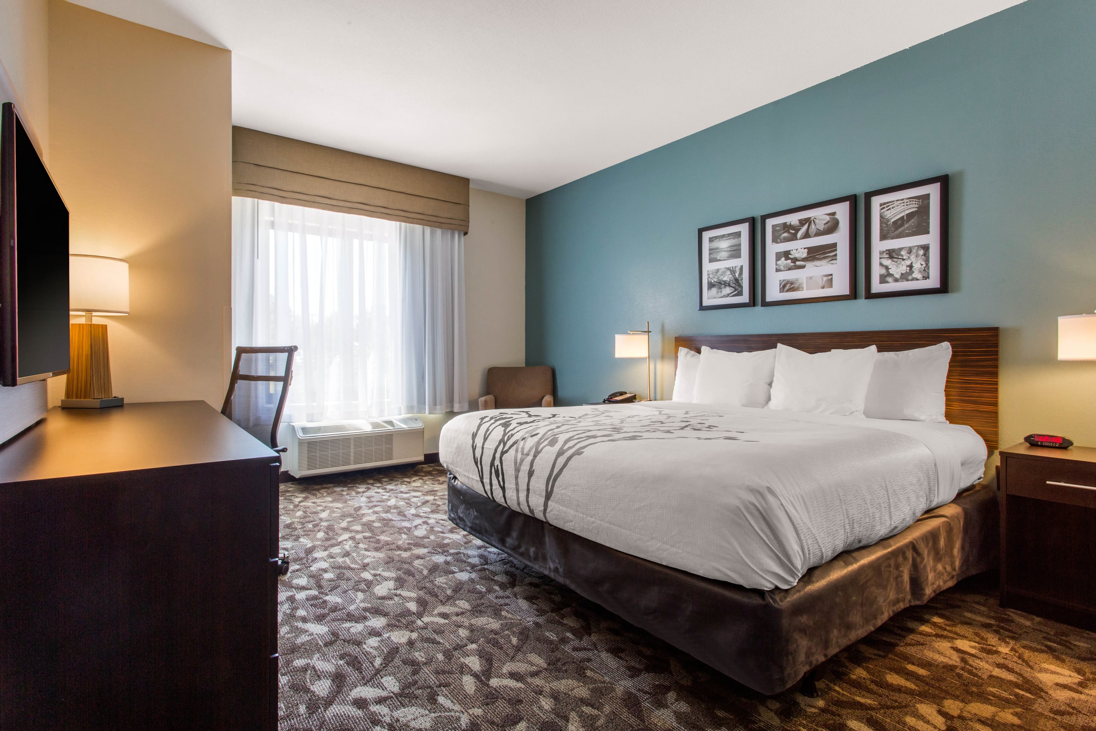 Sleep Inn & Suites Middletown - Goshen — 7