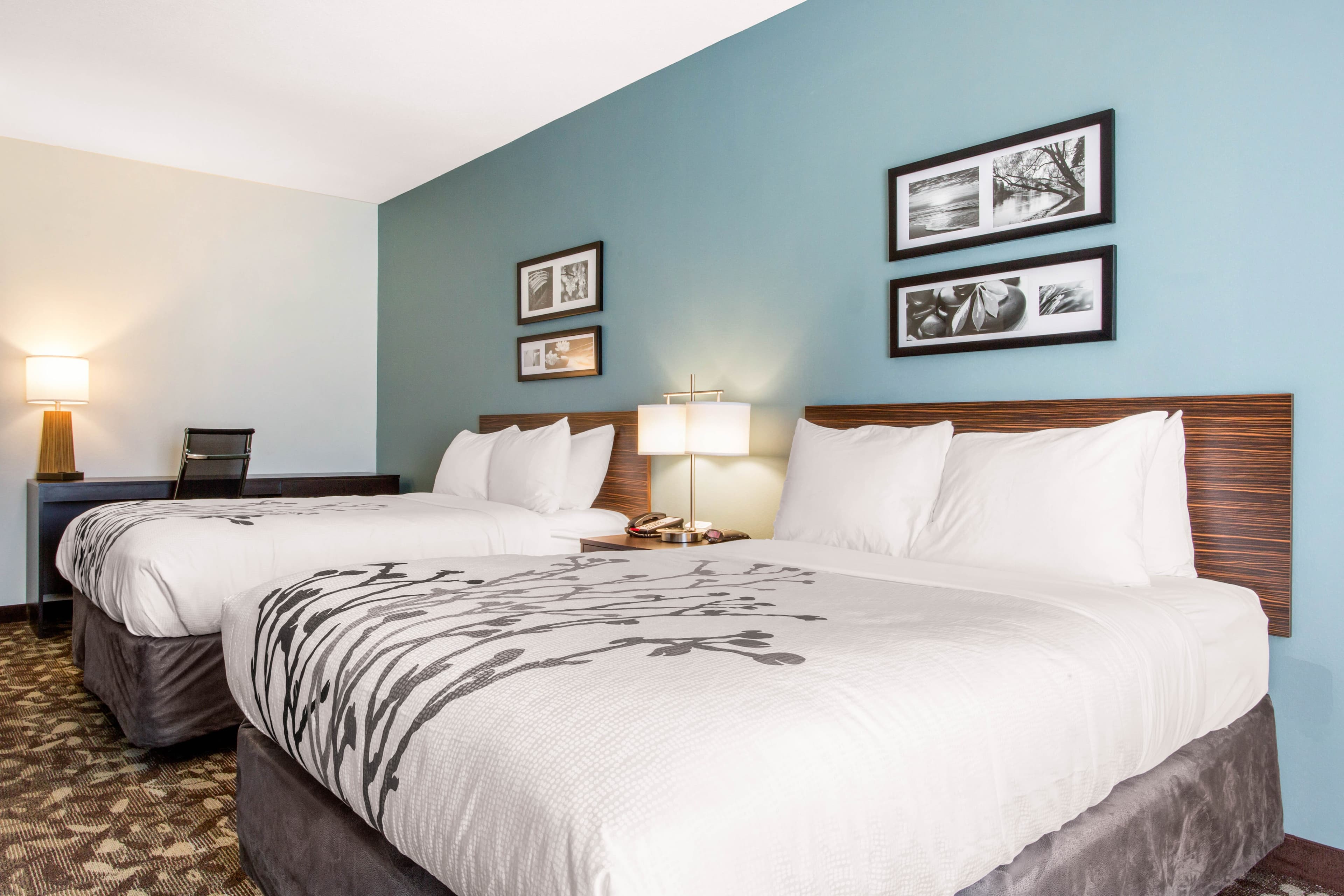 Sleep Inn & Suites Middletown - Goshen — 12