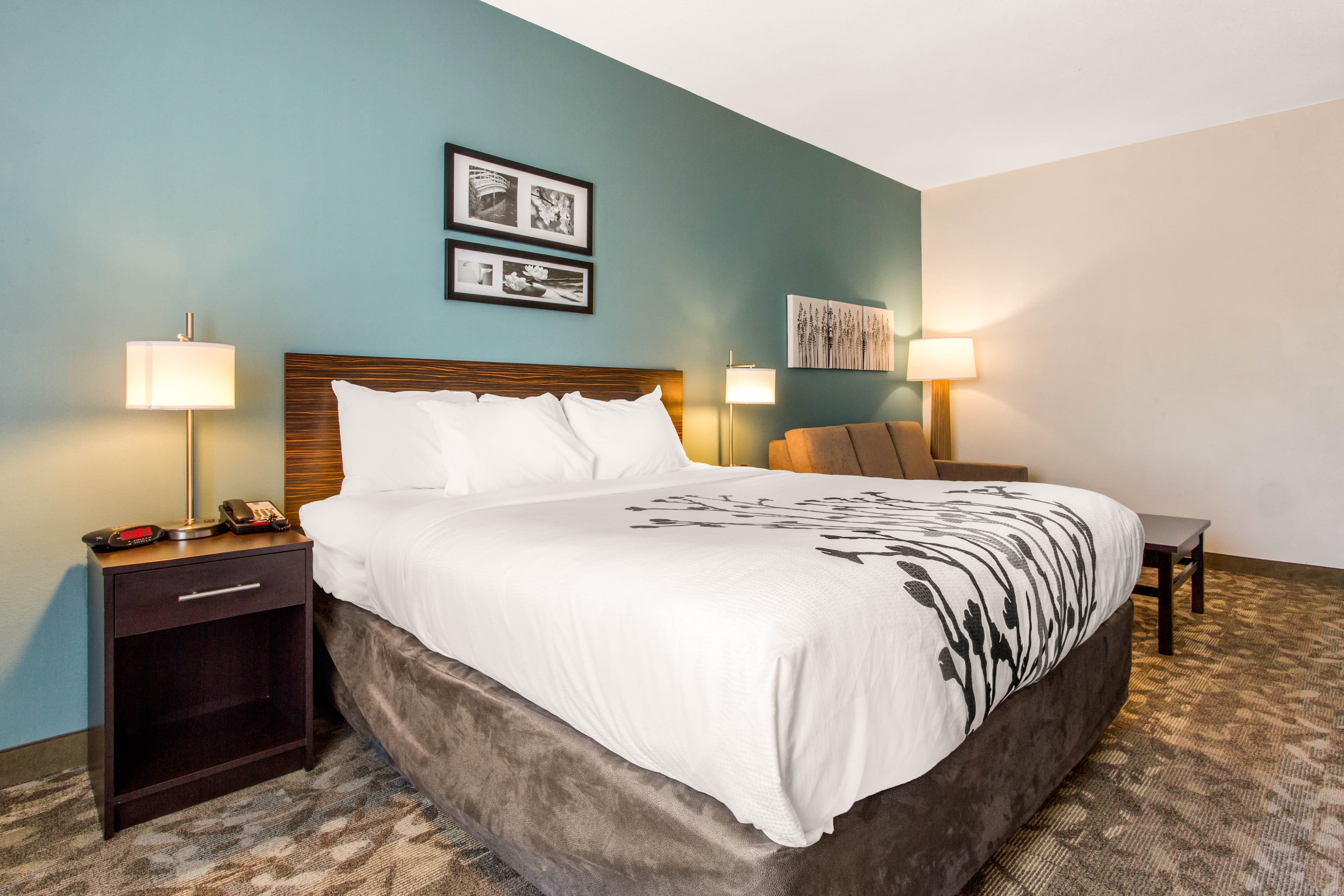 Sleep Inn & Suites Middletown - Goshen - Image 4