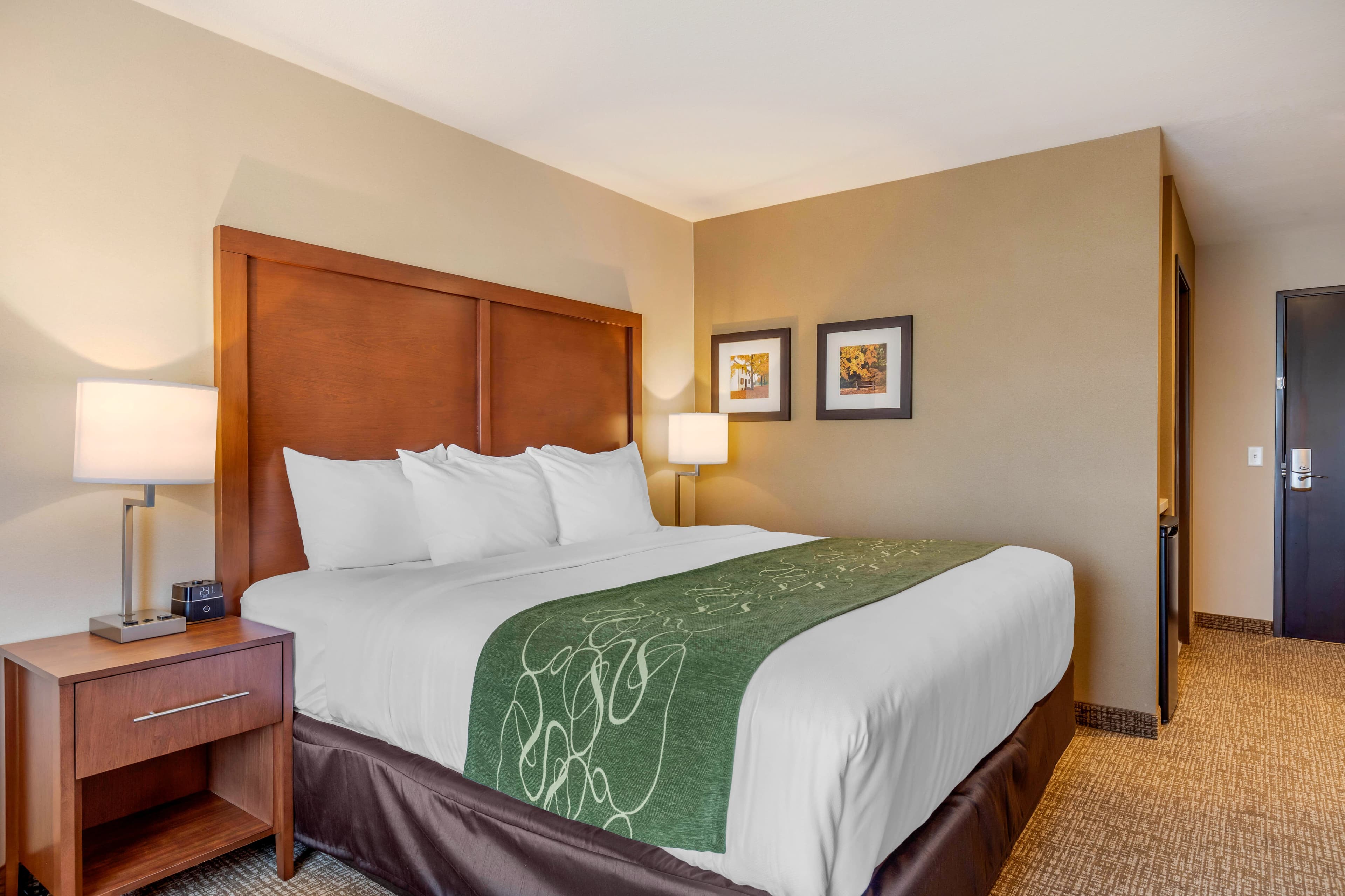 Comfort Inn & Suites Schenectady -Scotia - Image 3