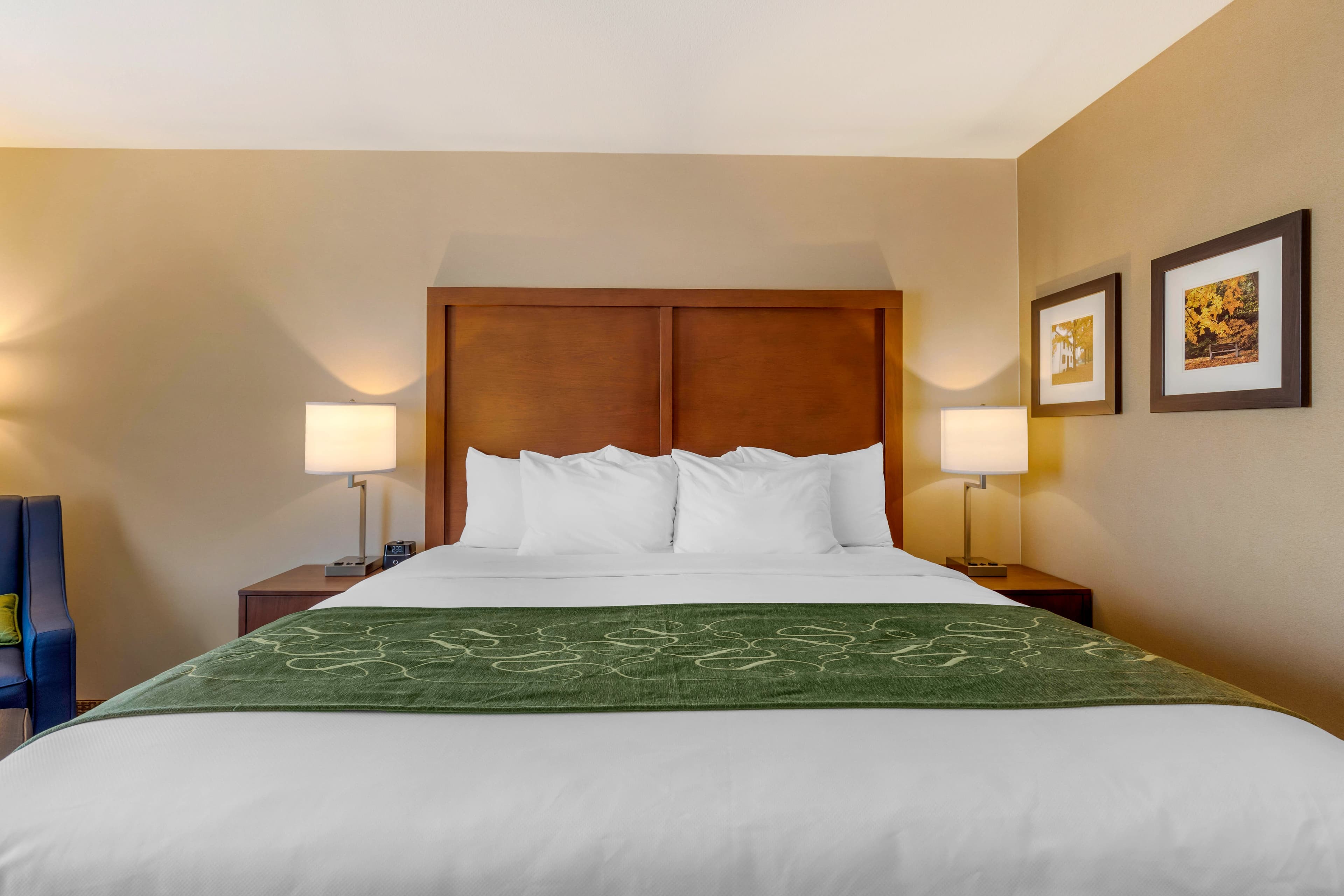 Comfort Inn & Suites Schenectady -Scotia - Image 4