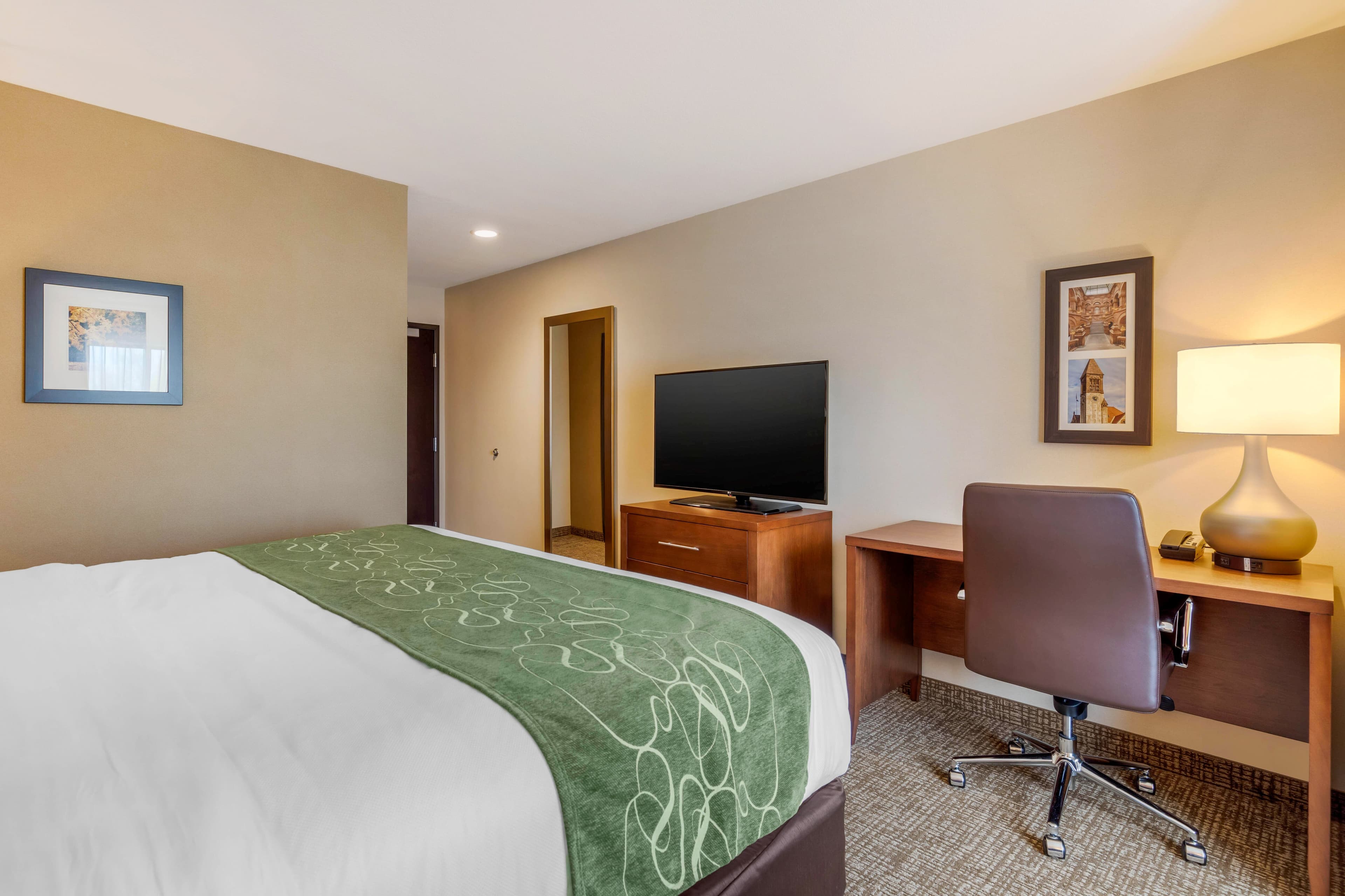 Comfort Inn & Suites Schenectady -Scotia - Image 5