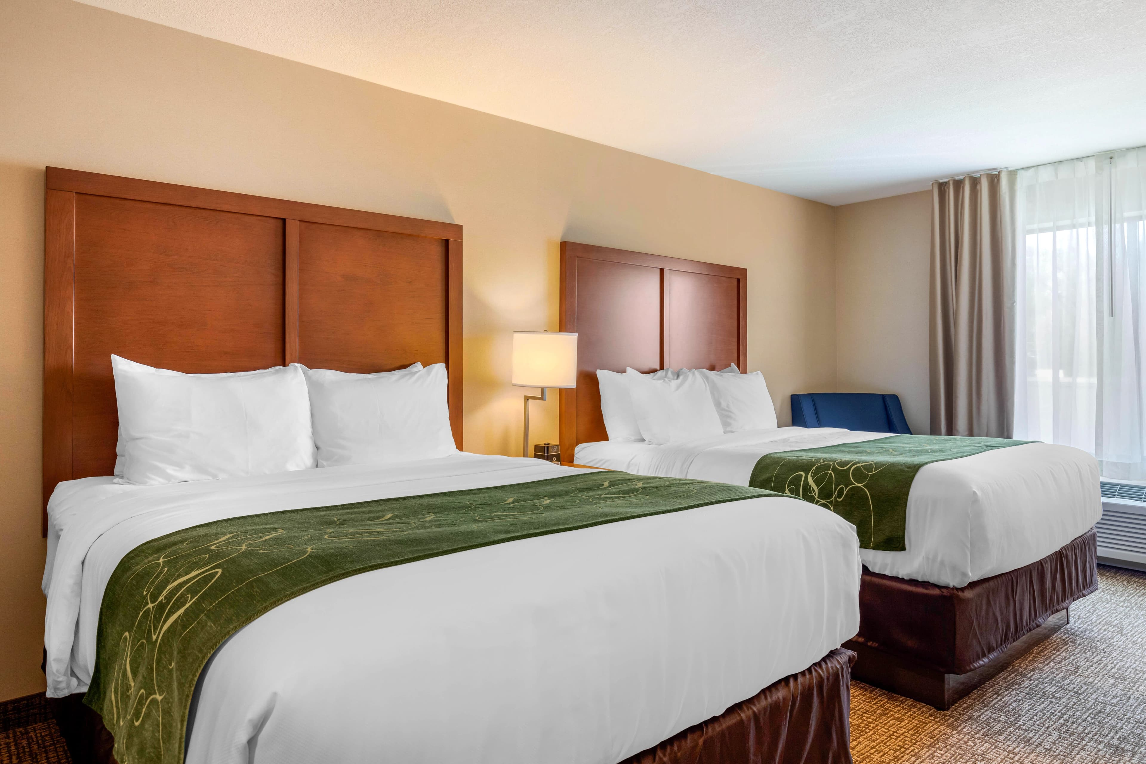 Comfort Inn & Suites Schenectady -Scotia - Image 2
