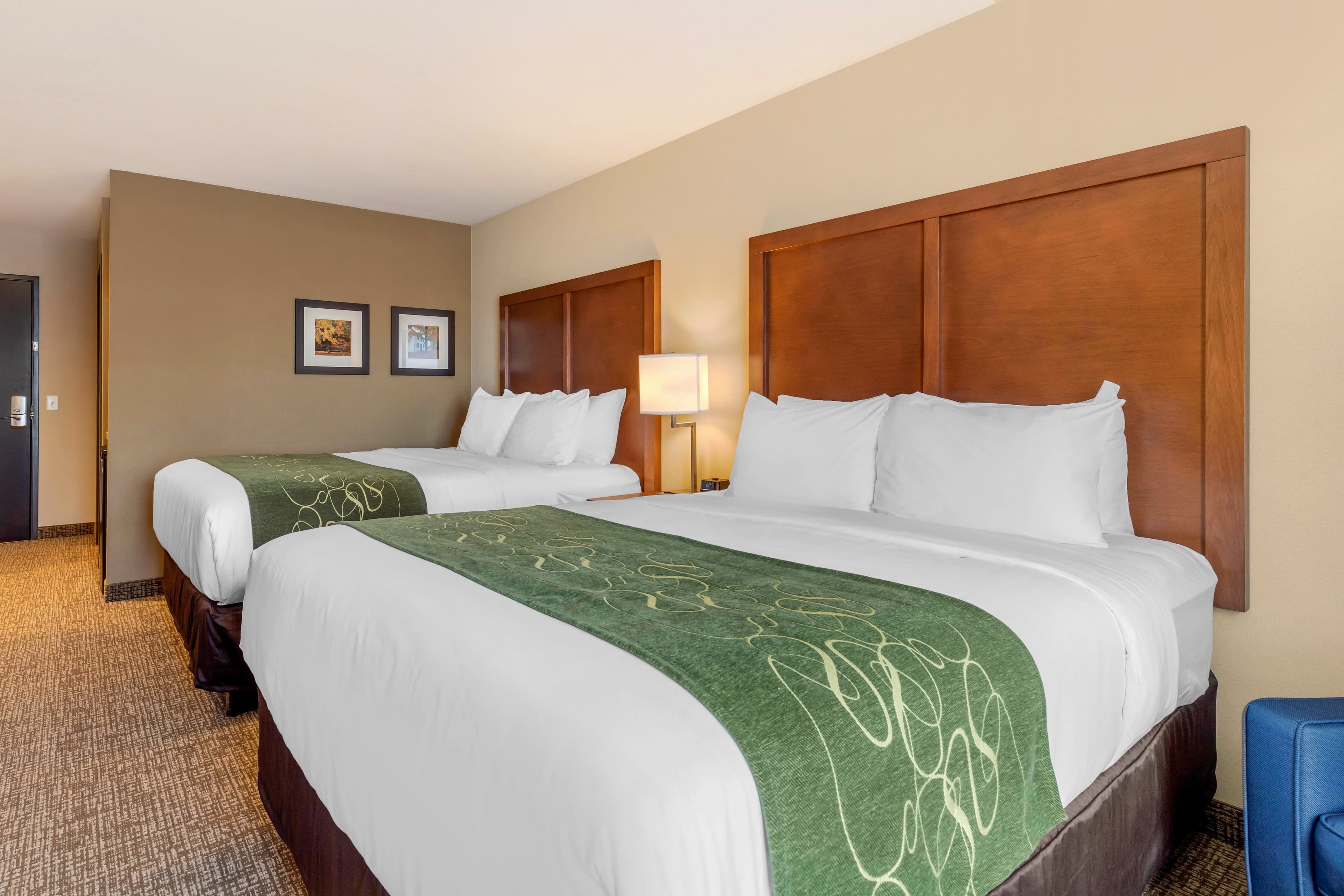 Comfort Inn & Suites Schenectady -Scotia — 10