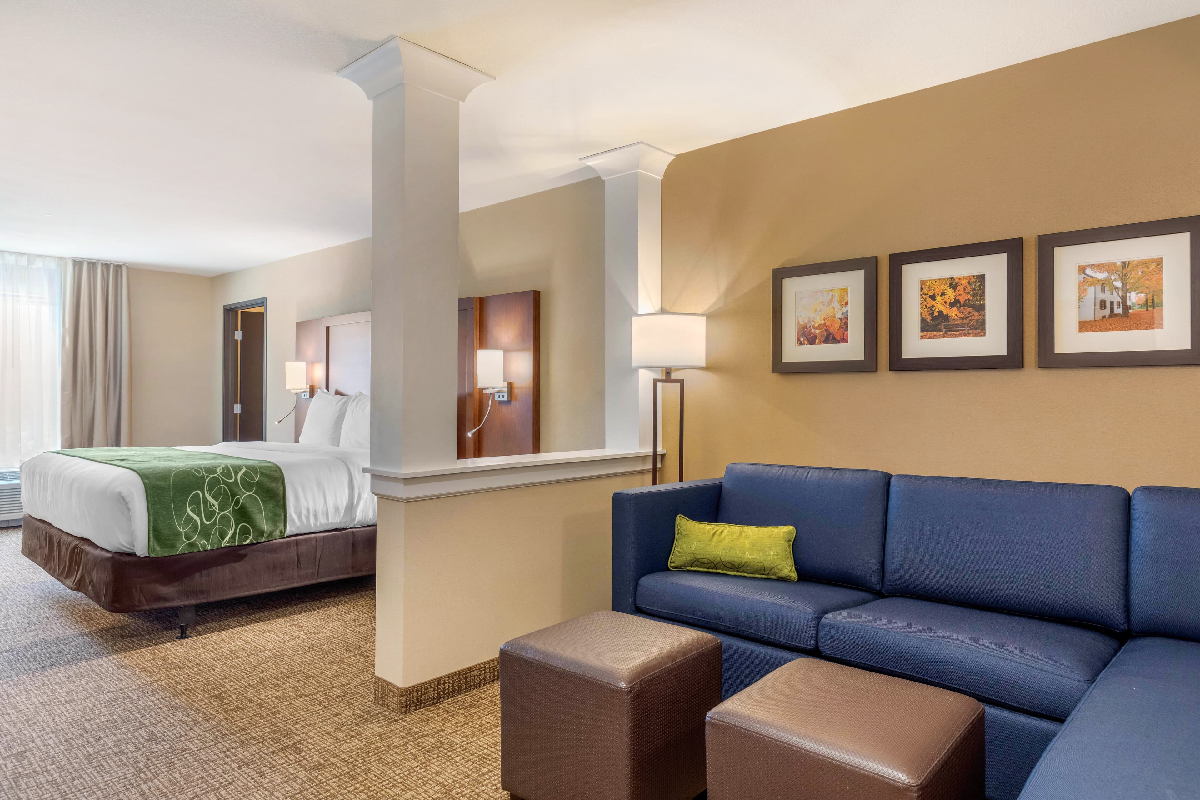 Comfort Inn & Suites Schenectady -Scotia — 13
