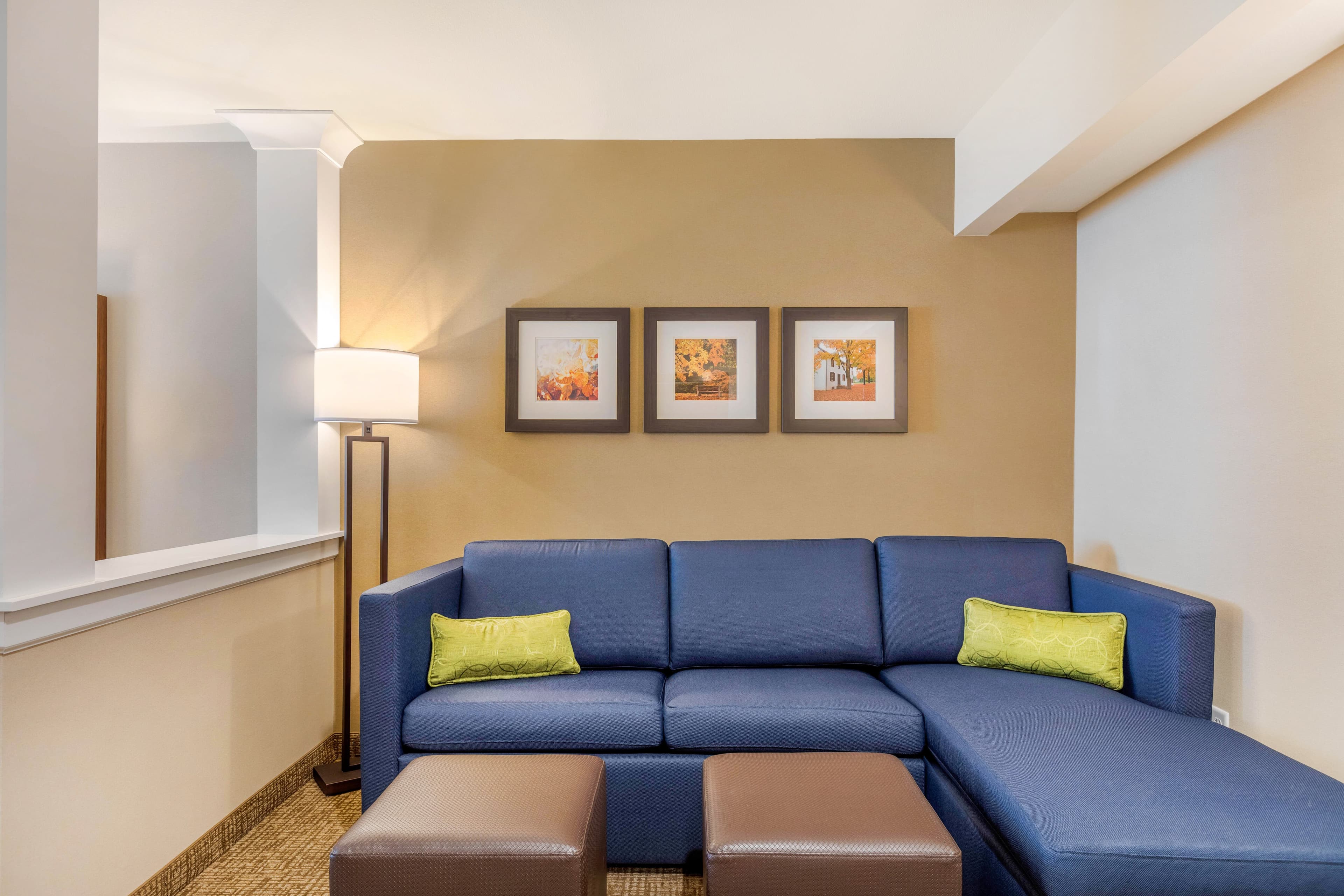Comfort Inn & Suites Schenectady -Scotia — 14