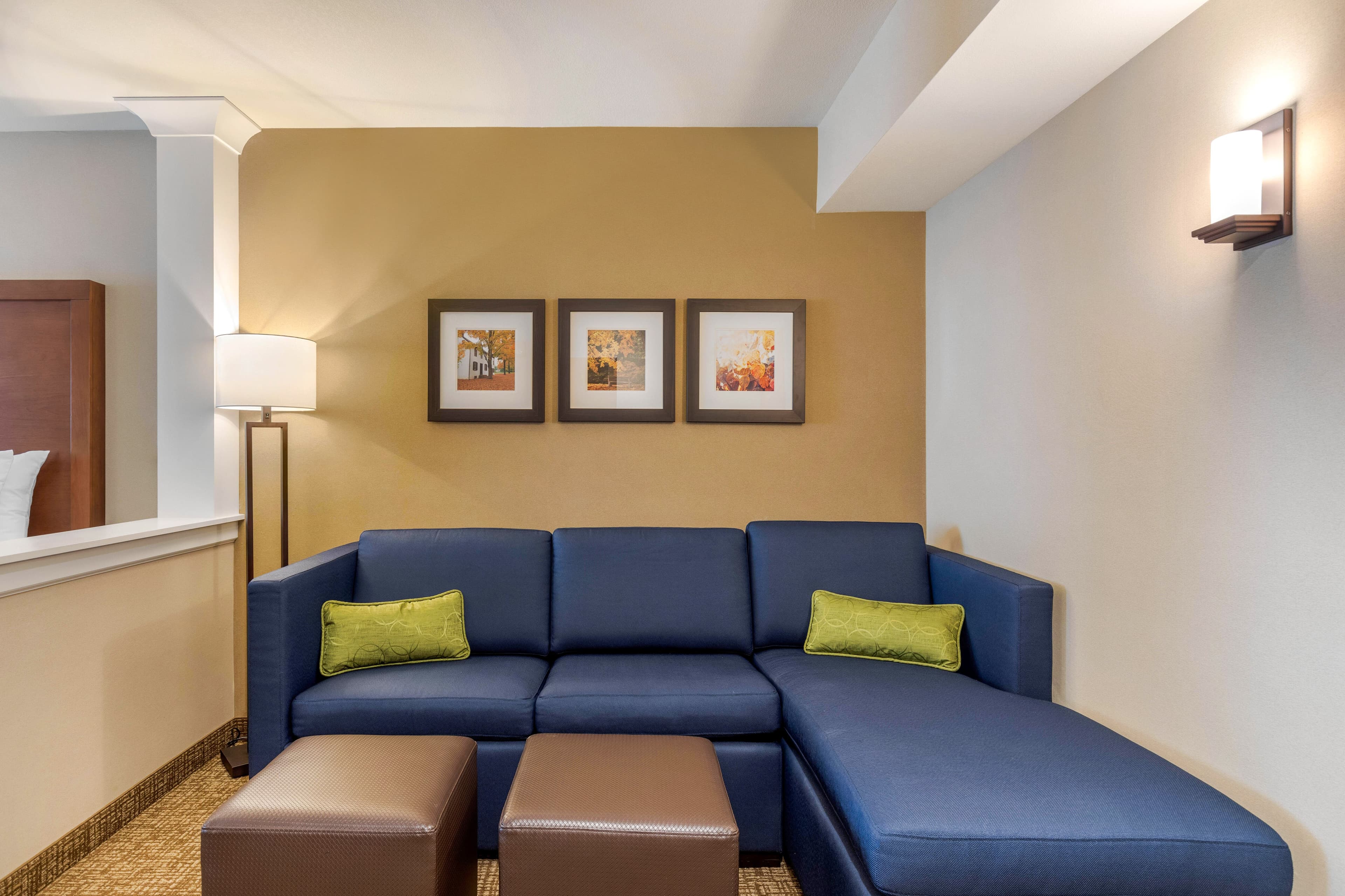 Comfort Inn & Suites Schenectady -Scotia — 19