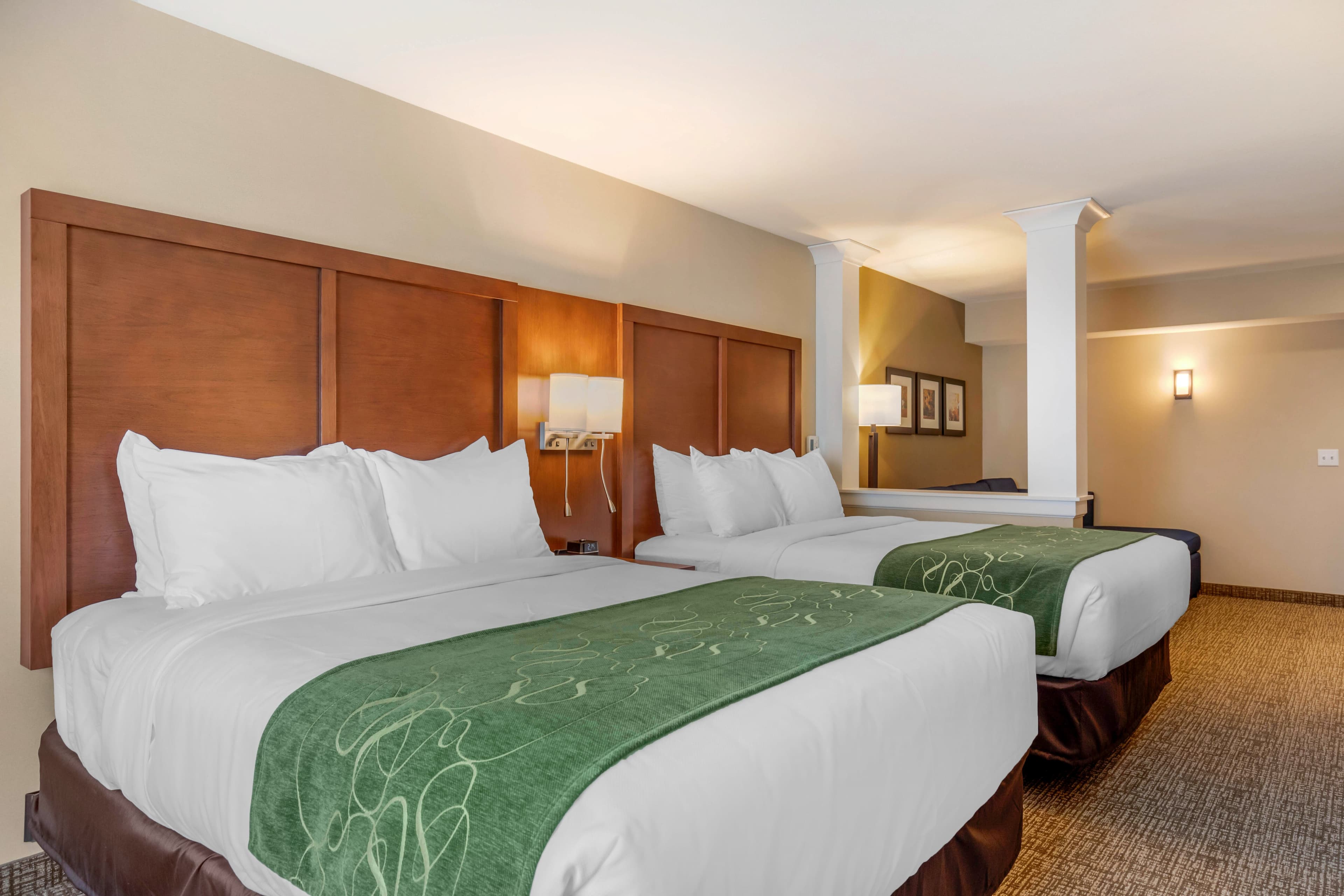 Comfort Inn & Suites Schenectady -Scotia — 21