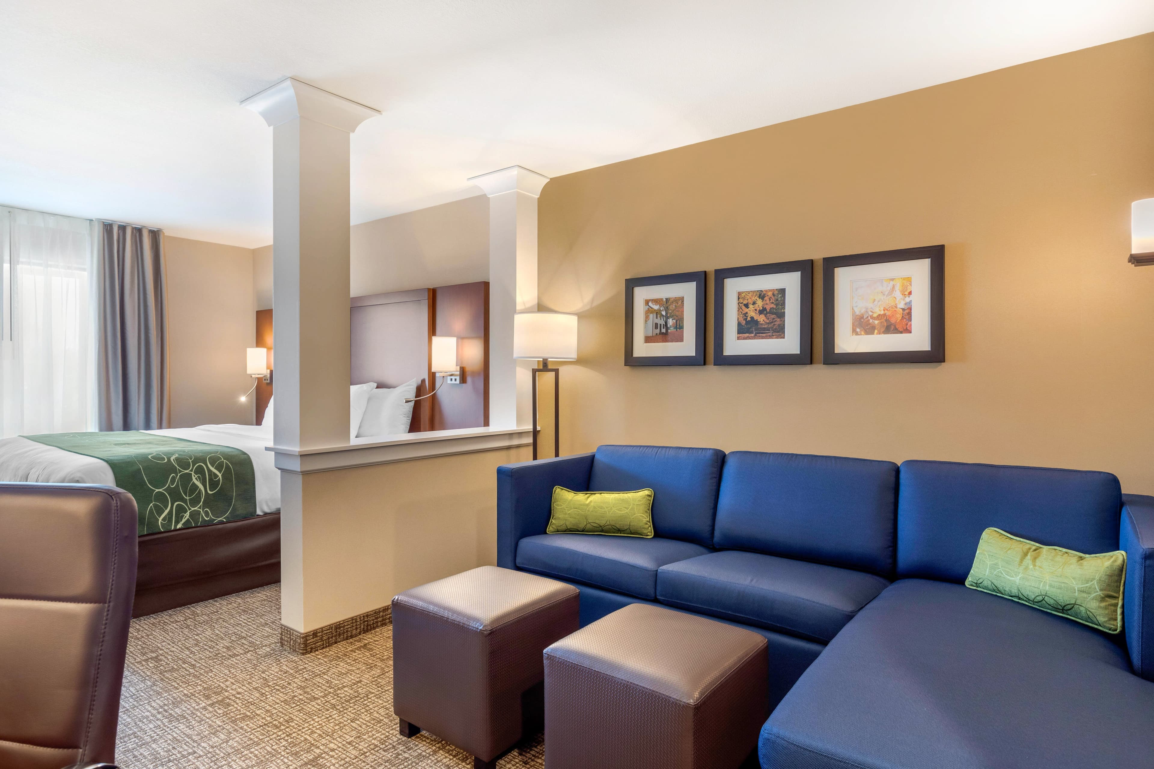 Comfort Inn & Suites Schenectady -Scotia — 23