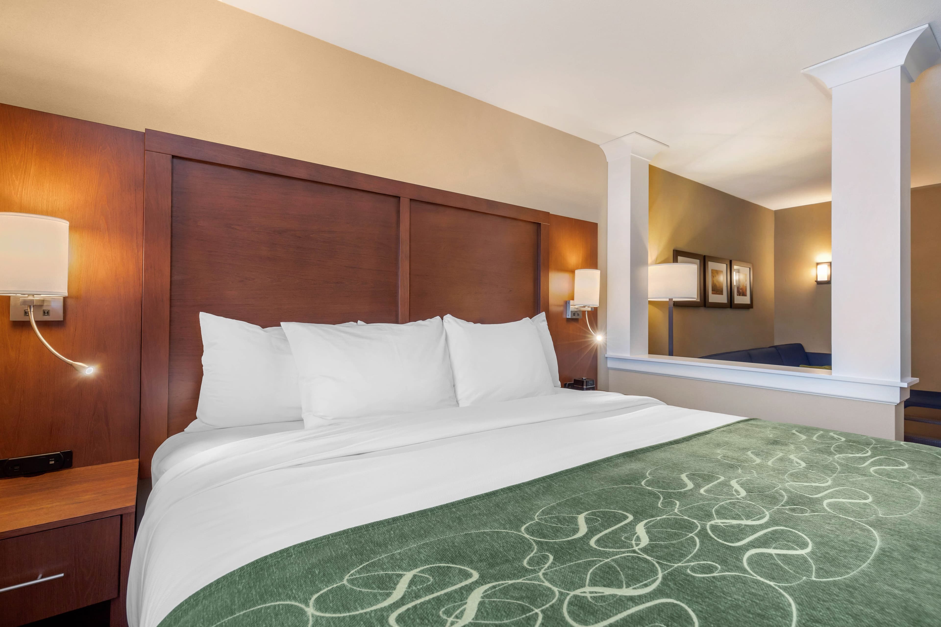 Comfort Inn & Suites Schenectady -Scotia — 25