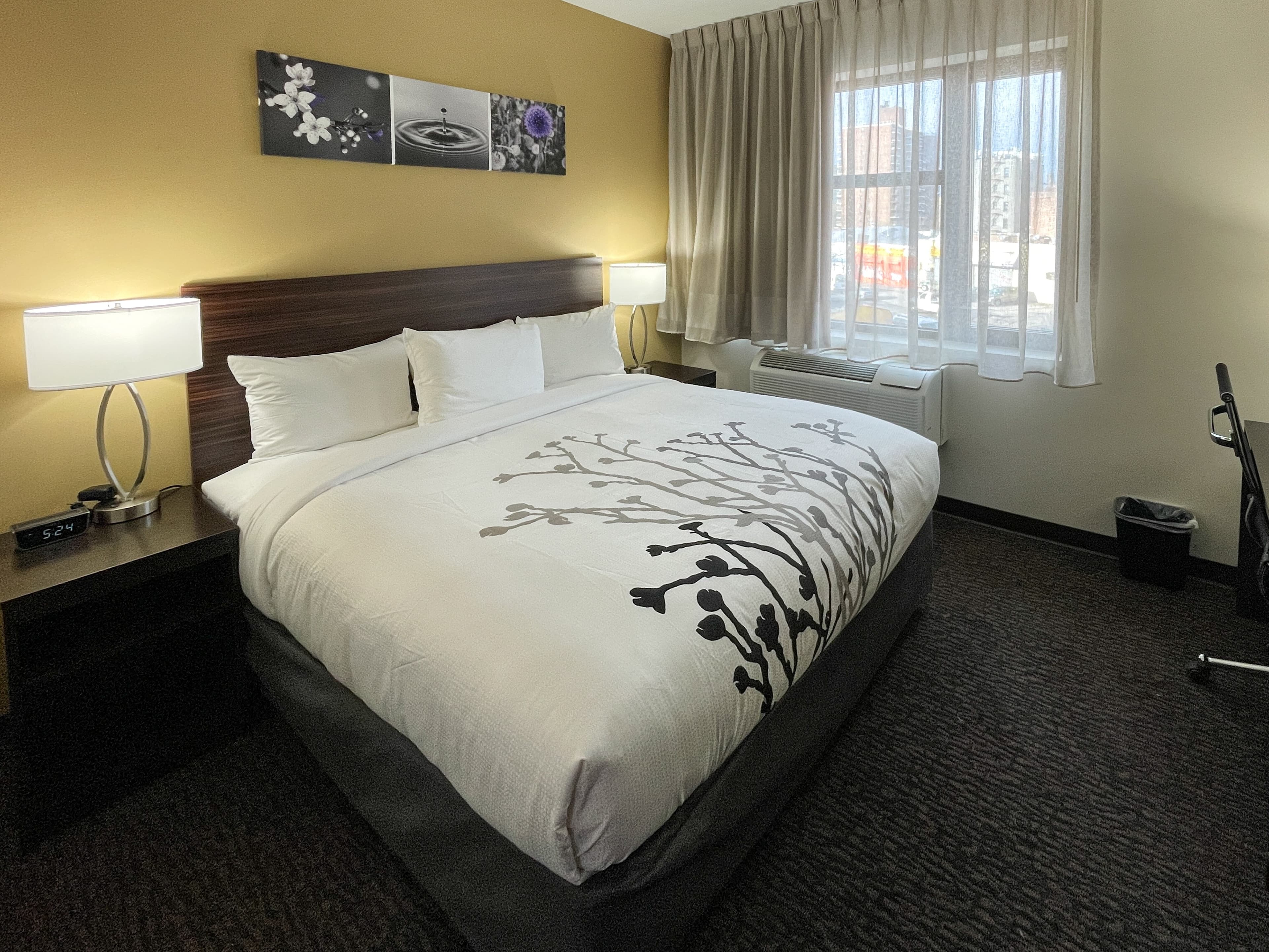 Sleep Inn Bronx - Belmont — 6