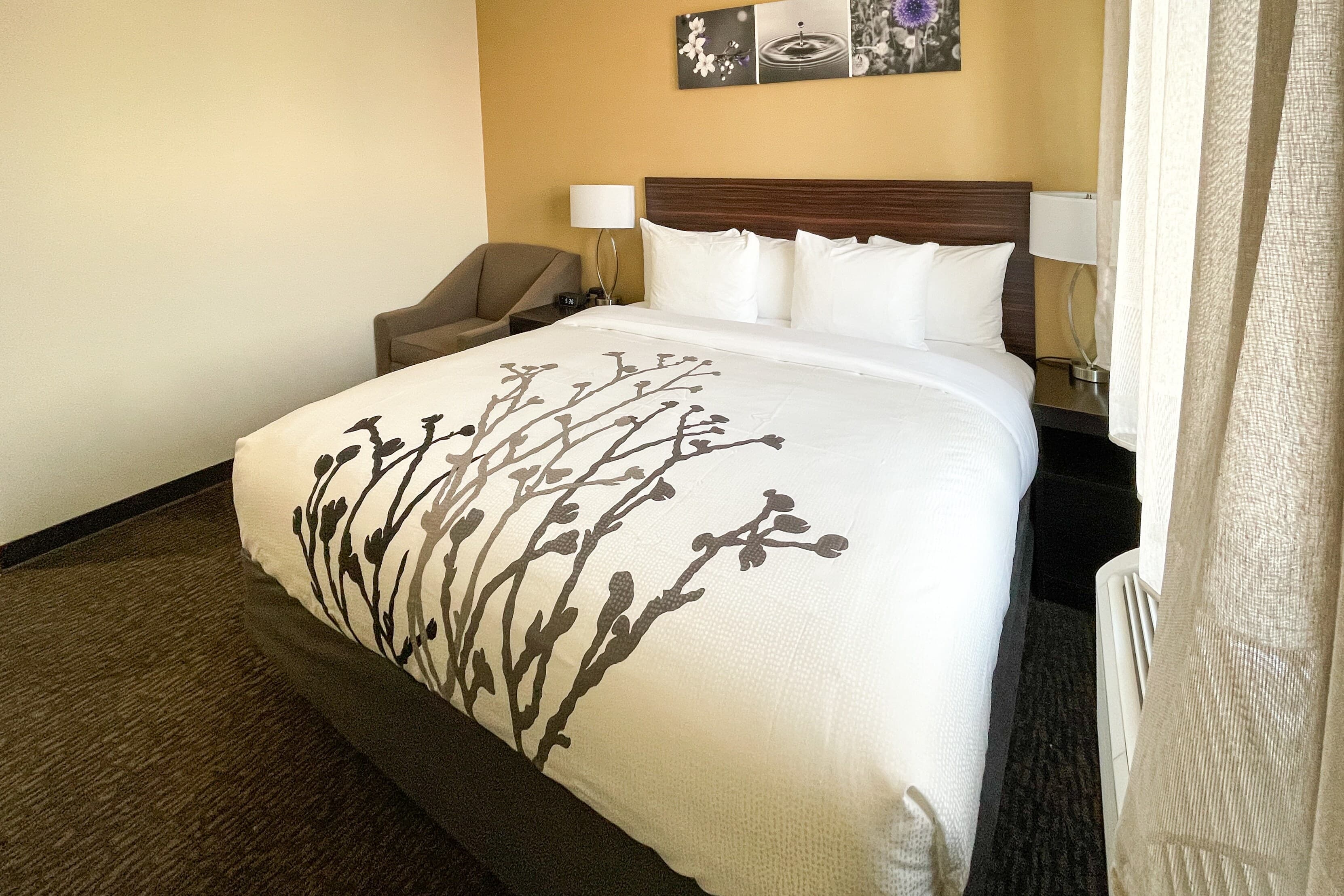 Sleep Inn Bronx - Belmont - Image 2