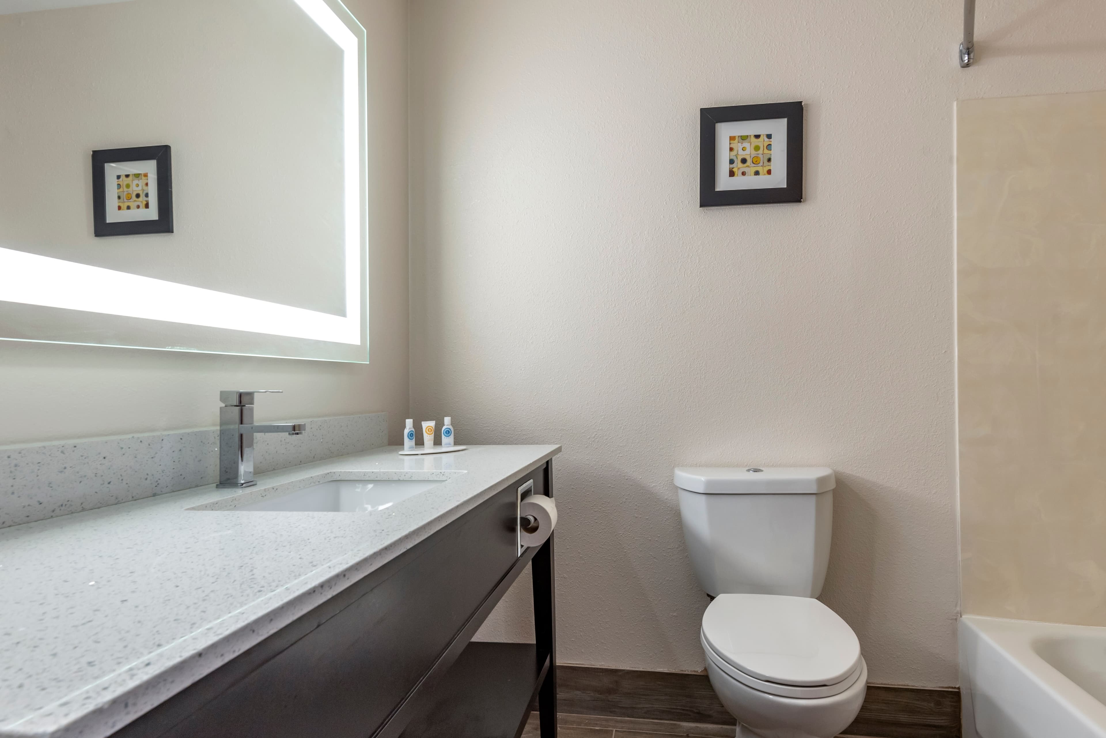 Comfort Inn & Suites Liverpool - Syracuse — 13