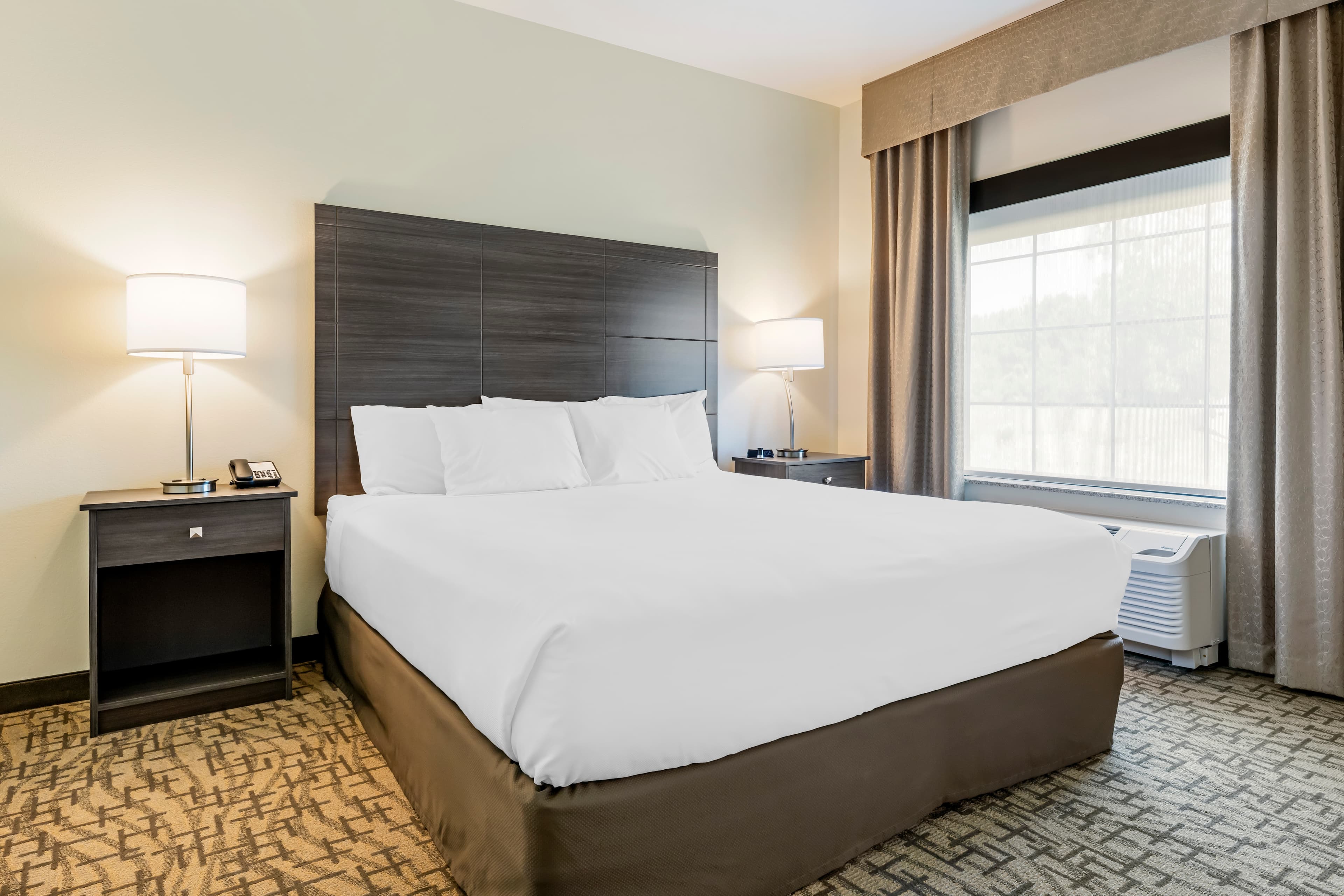 Comfort Inn & Suites Medina NY near Erie Canal — 15