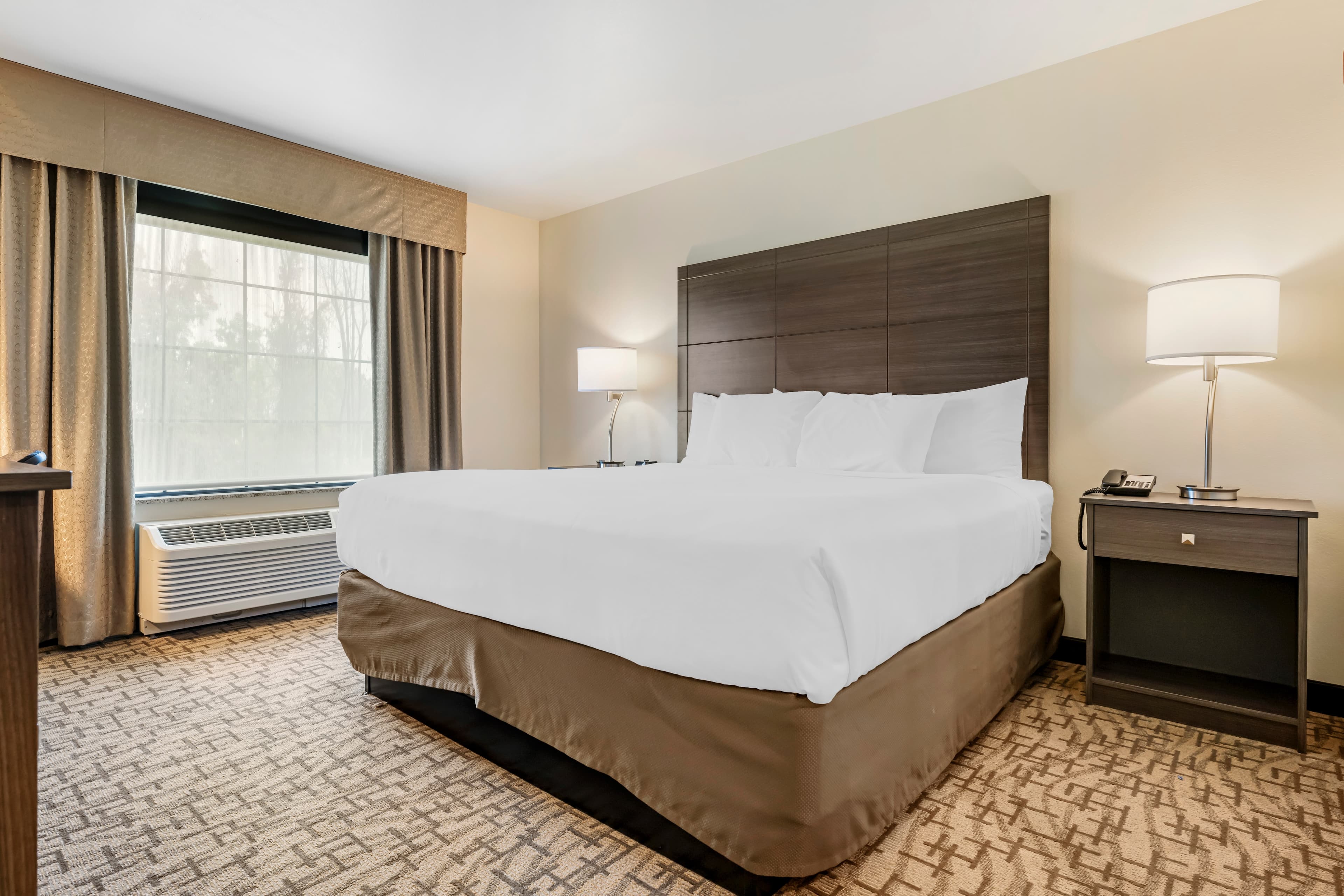 Comfort Inn & Suites Medina NY near Erie Canal — 26