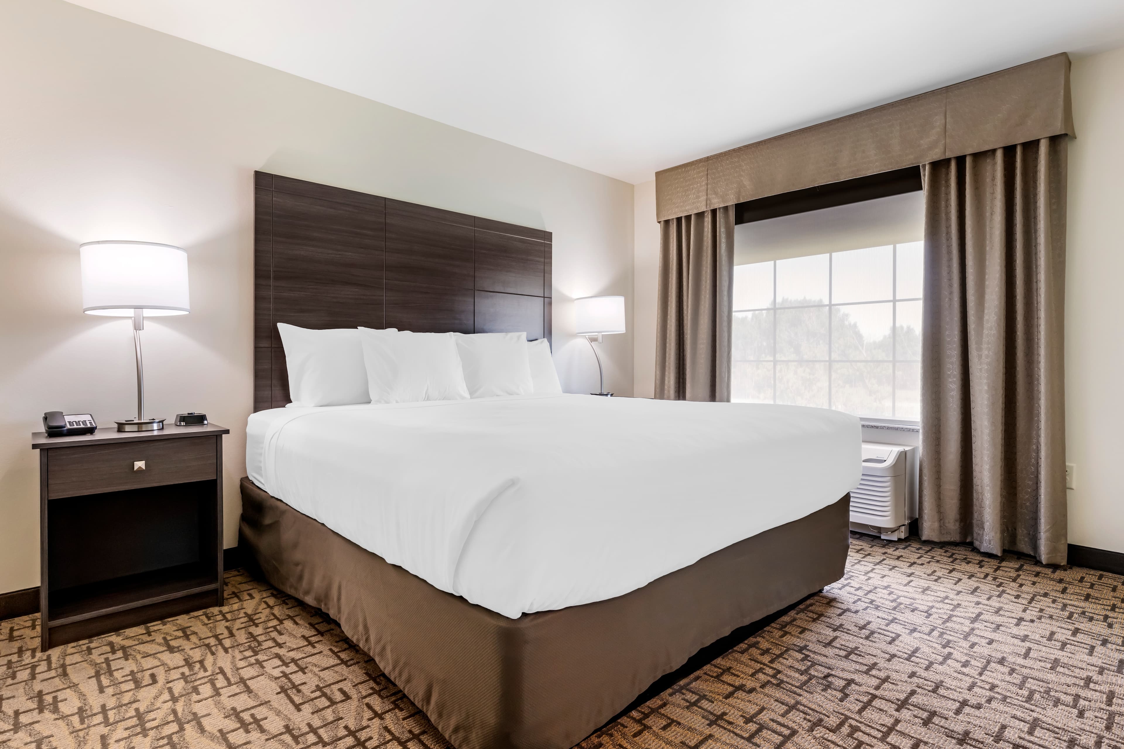 Comfort Inn & Suites Medina NY near Erie Canal — 41