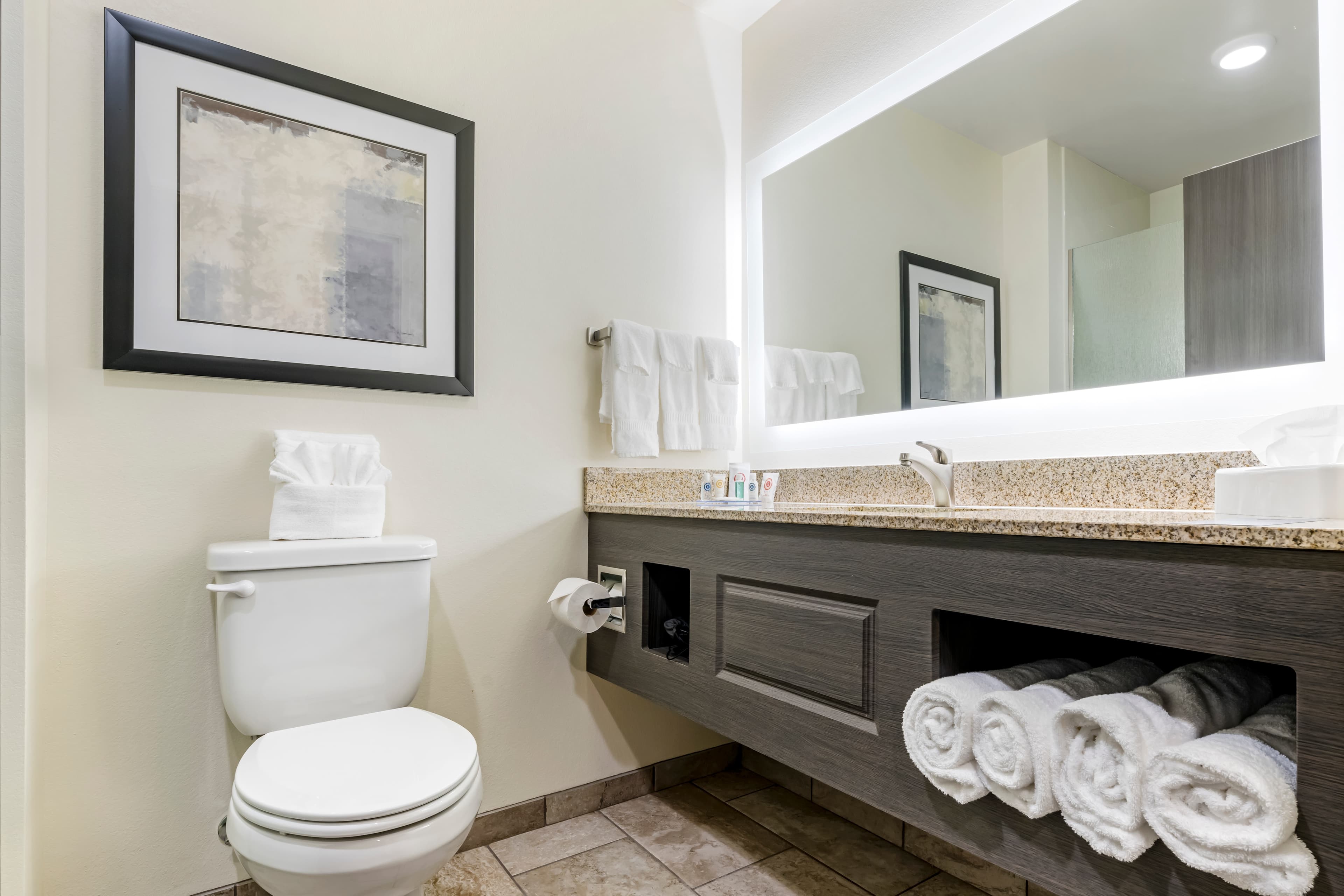 Comfort Inn & Suites Medina NY near Erie Canal — 32