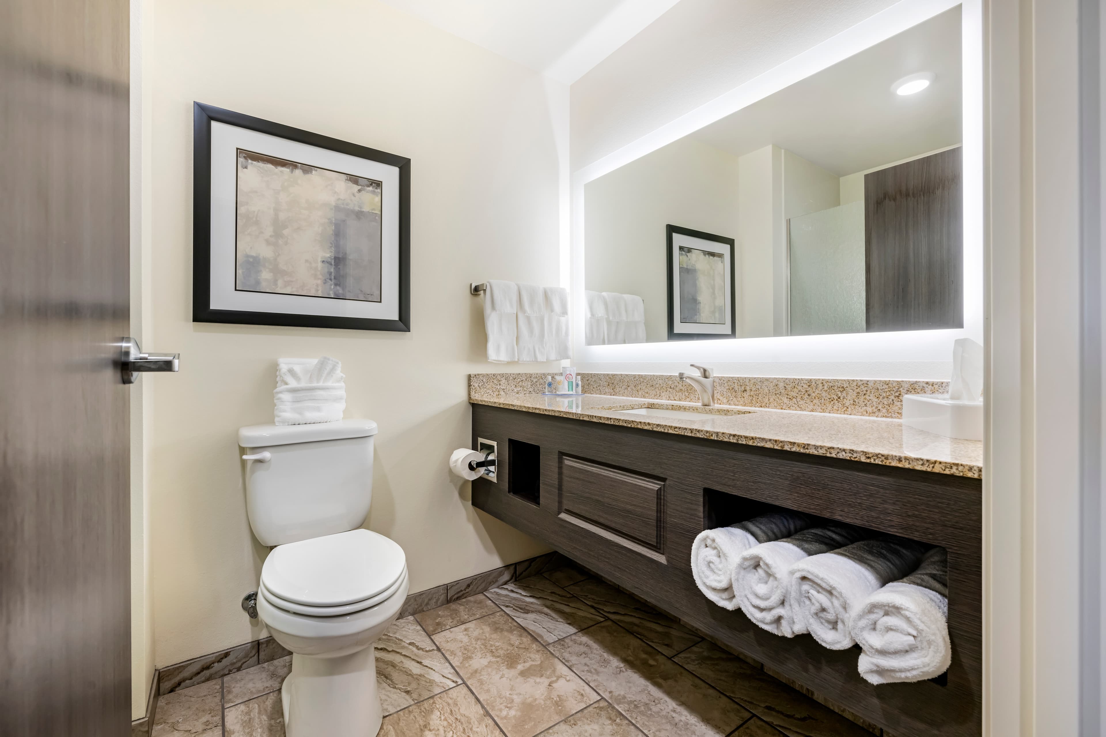 Comfort Inn & Suites Medina NY near Erie Canal — 28