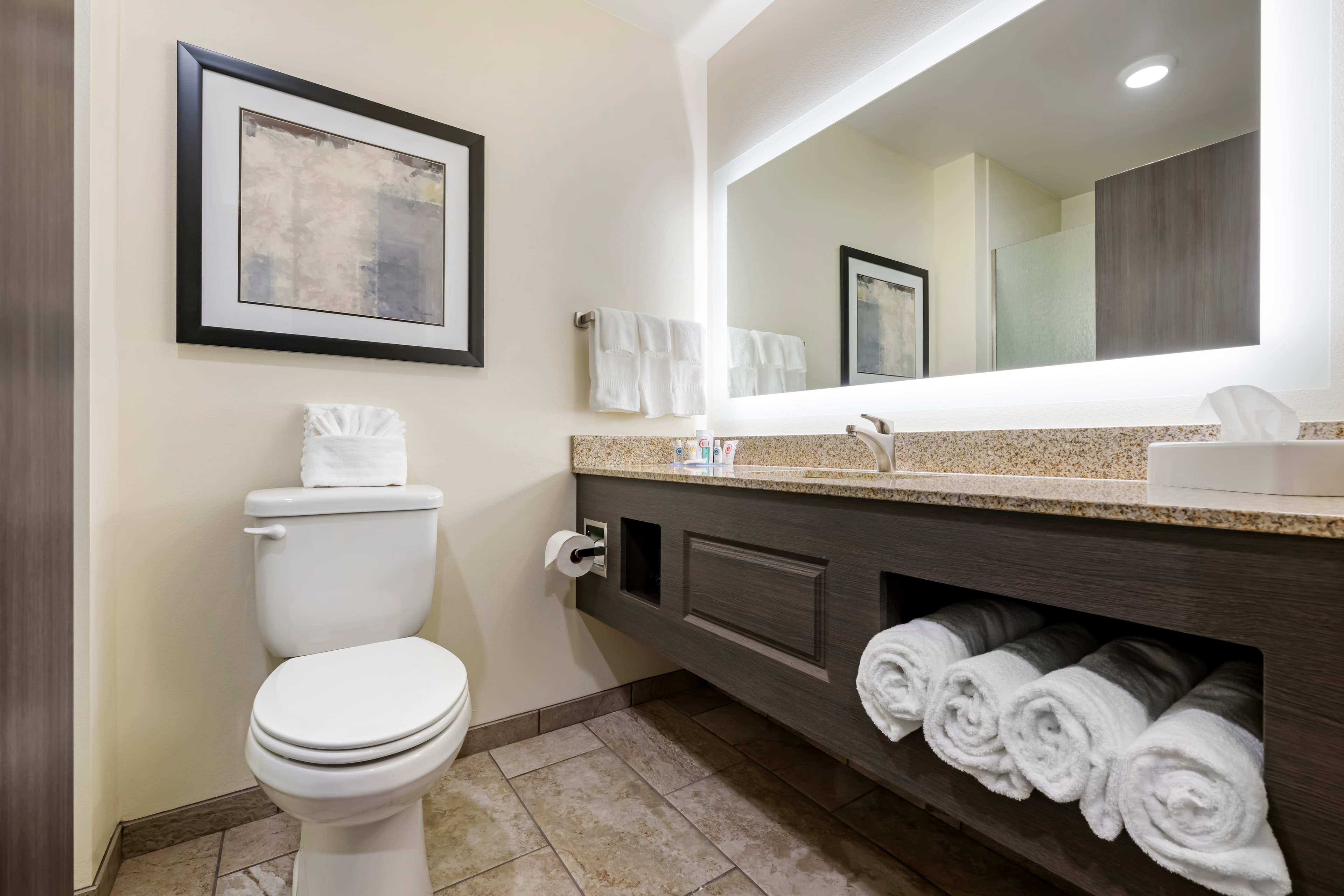 Comfort Inn & Suites Medina NY near Erie Canal — 40