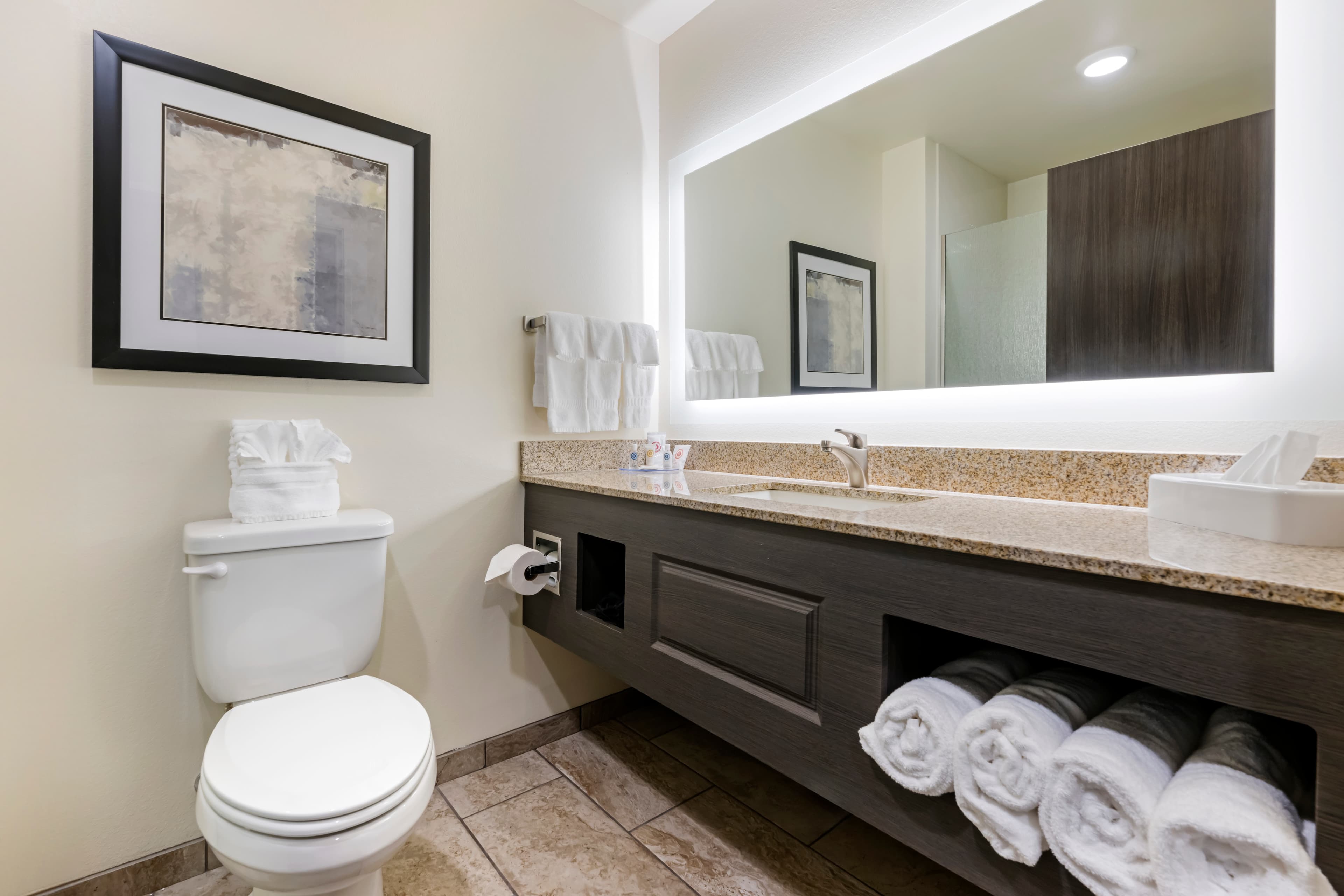Comfort Inn & Suites Medina NY near Erie Canal — 36