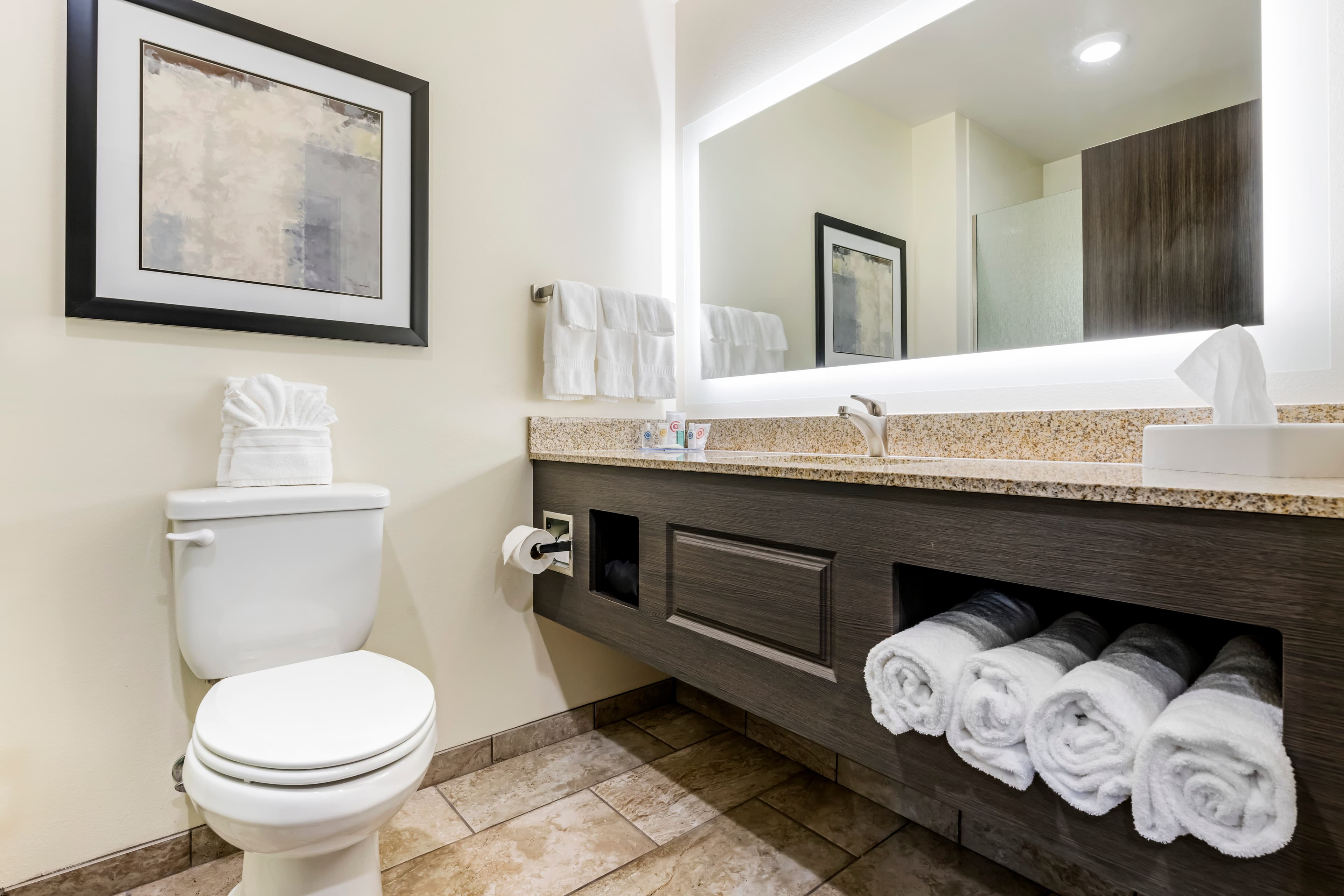 Comfort Inn & Suites Medina NY near Erie Canal — 44