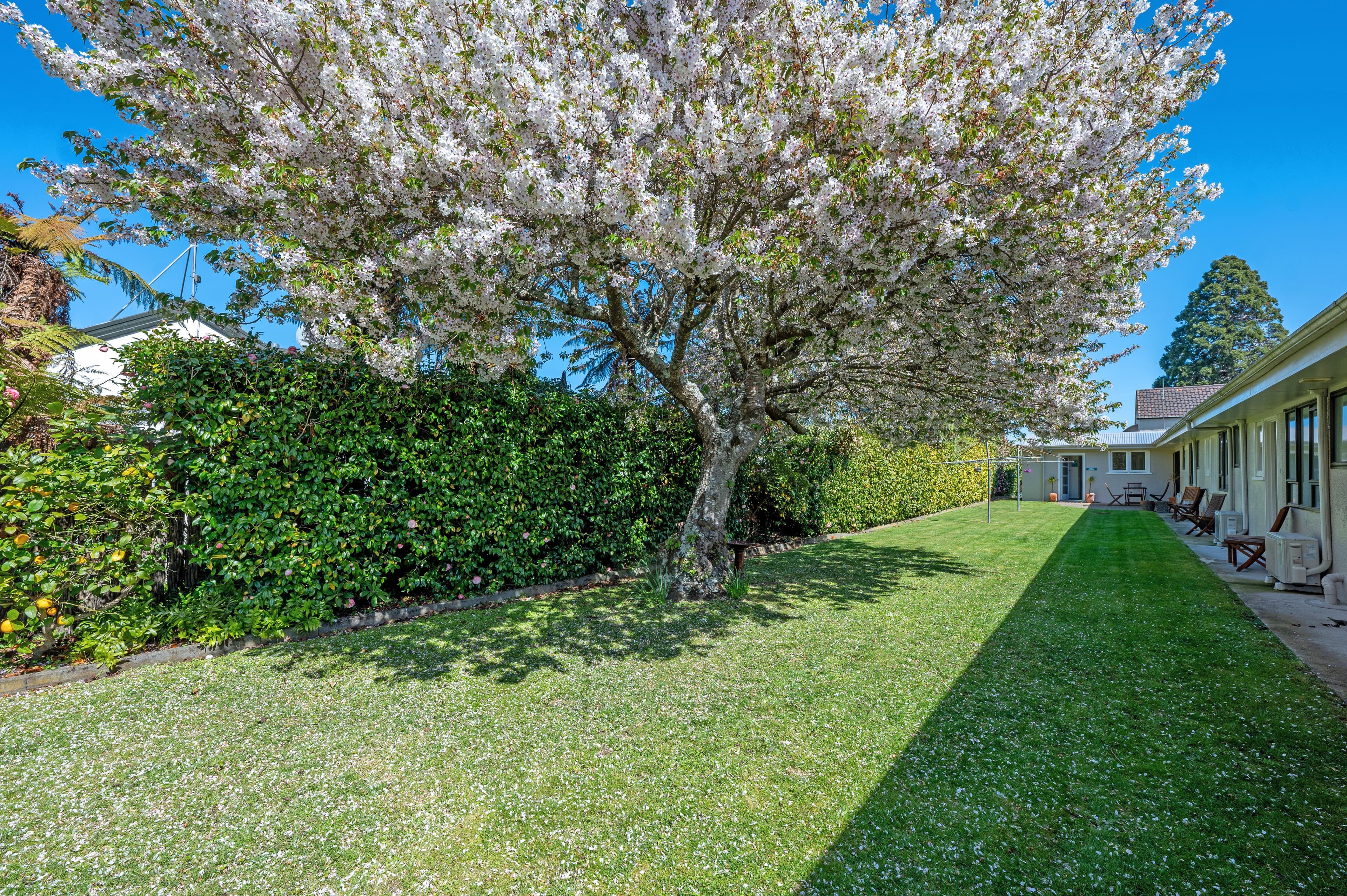 Quality Inn Acapulco Taupo — 130