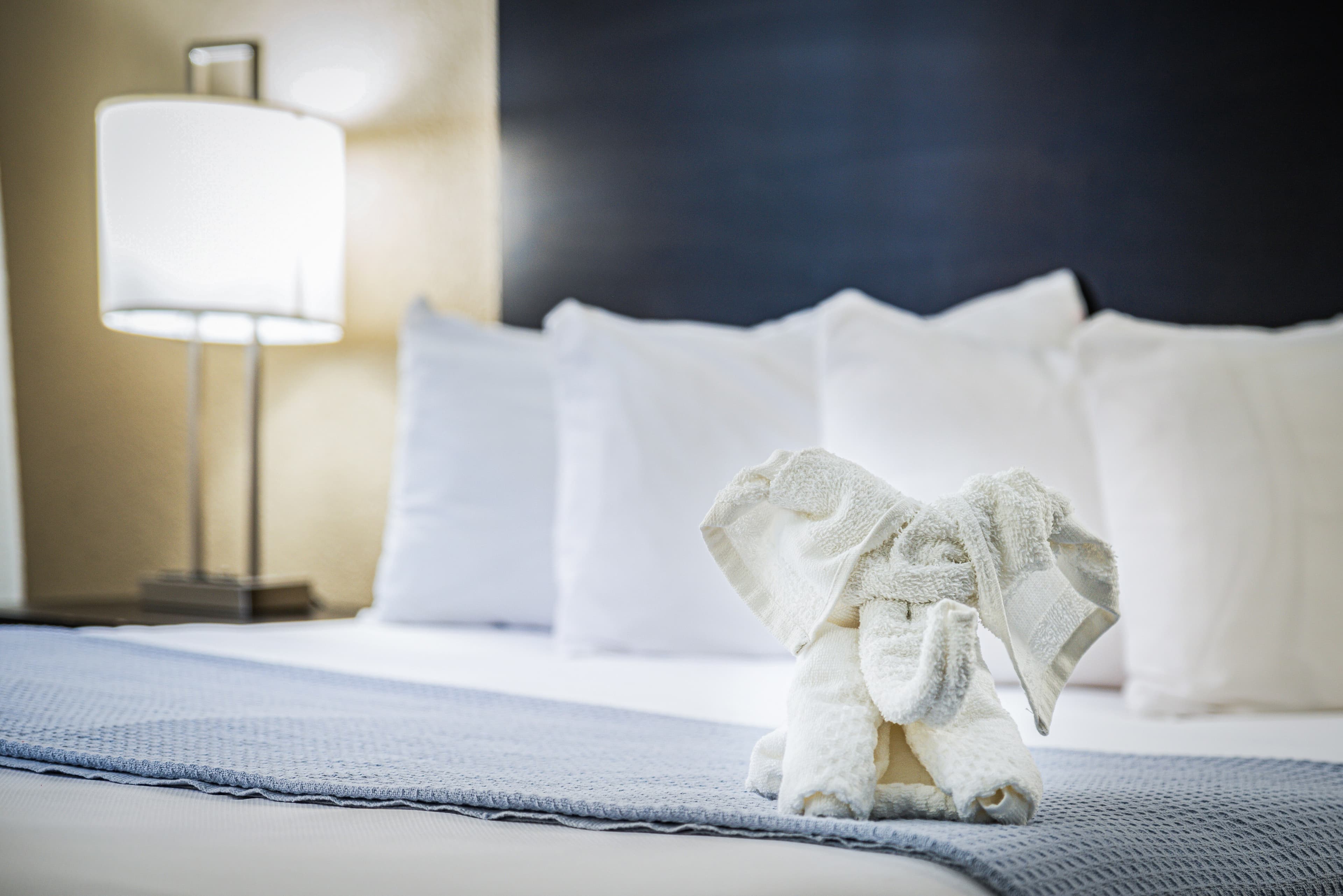 Econo Lodge Cleveland Southeast - Kent — 15