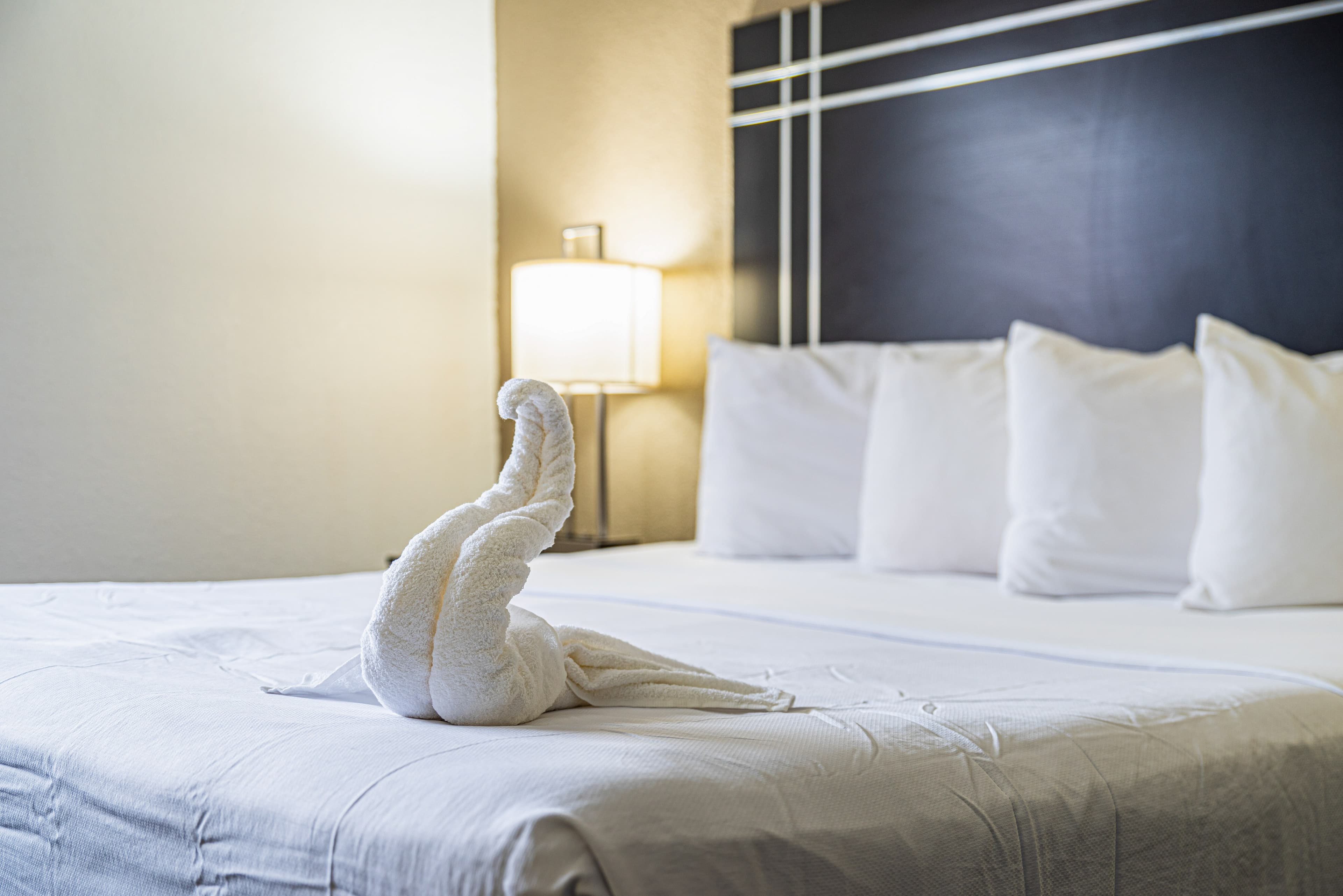 Econo Lodge Cleveland Southeast - Kent — 6