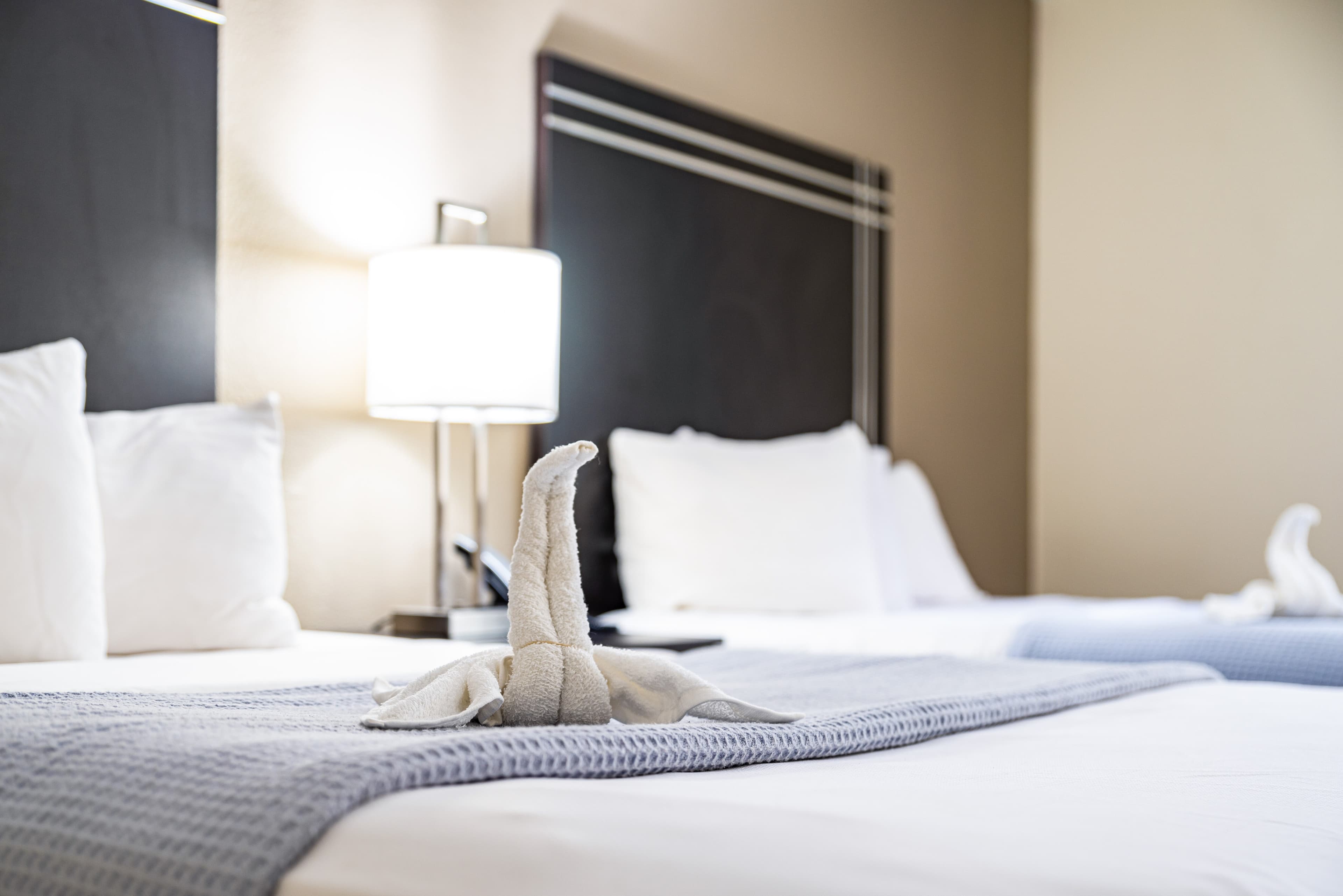 Econo Lodge Cleveland Southeast - Kent — 30