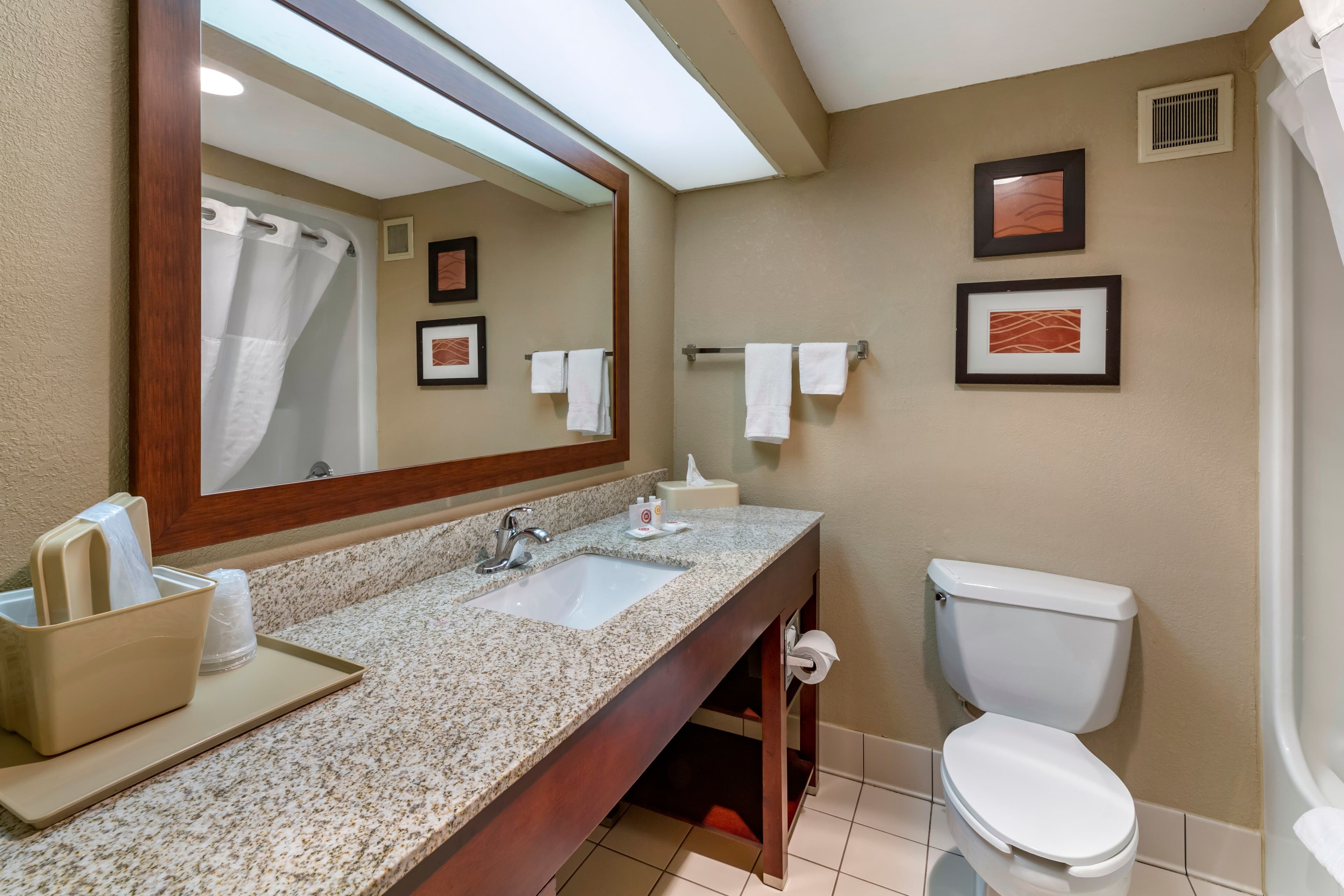 Comfort Inn Alliance — 10