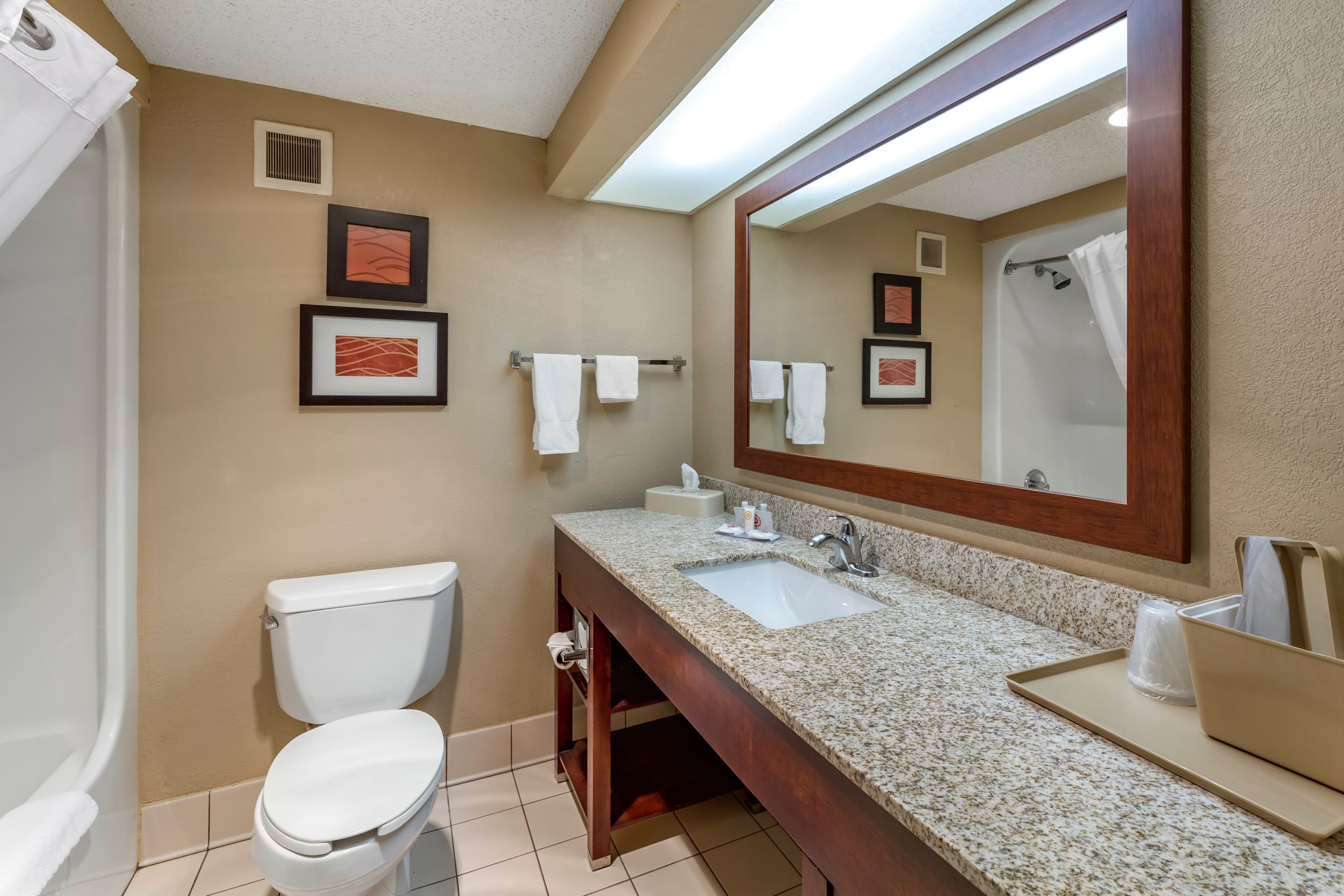 Comfort Inn Alliance — 14