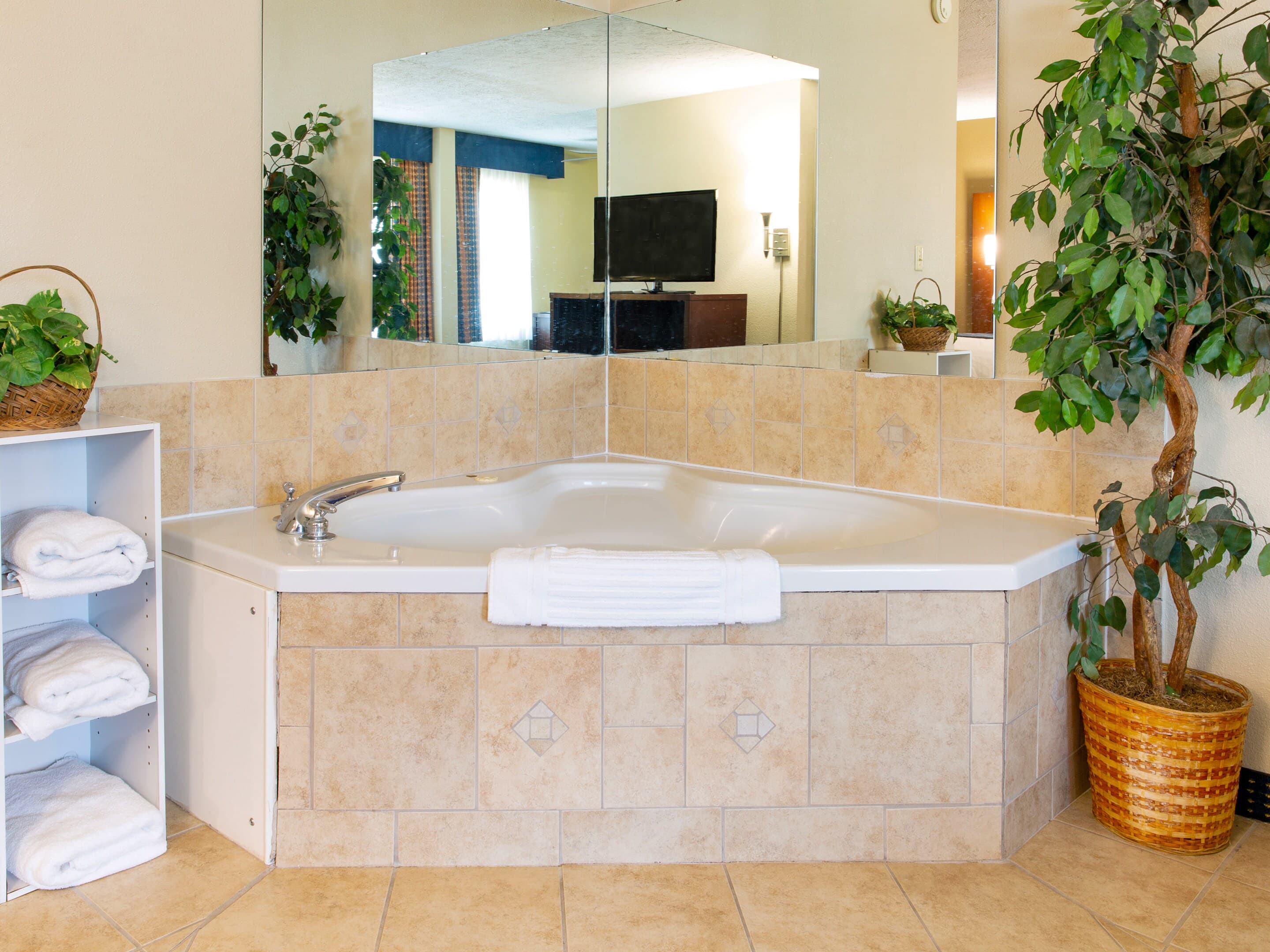 Comfort Inn Piketon near Fairgrounds — 39