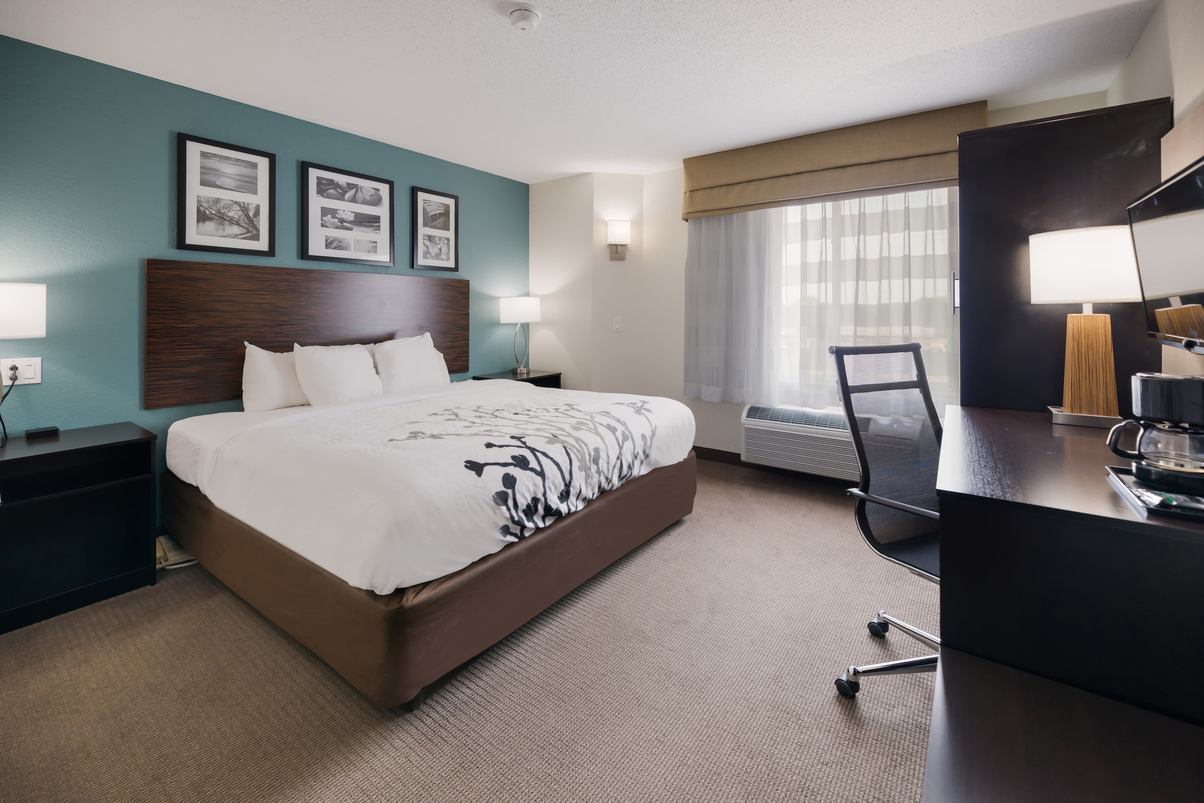 Sleep Inn & Suites Port Clinton - Image 2