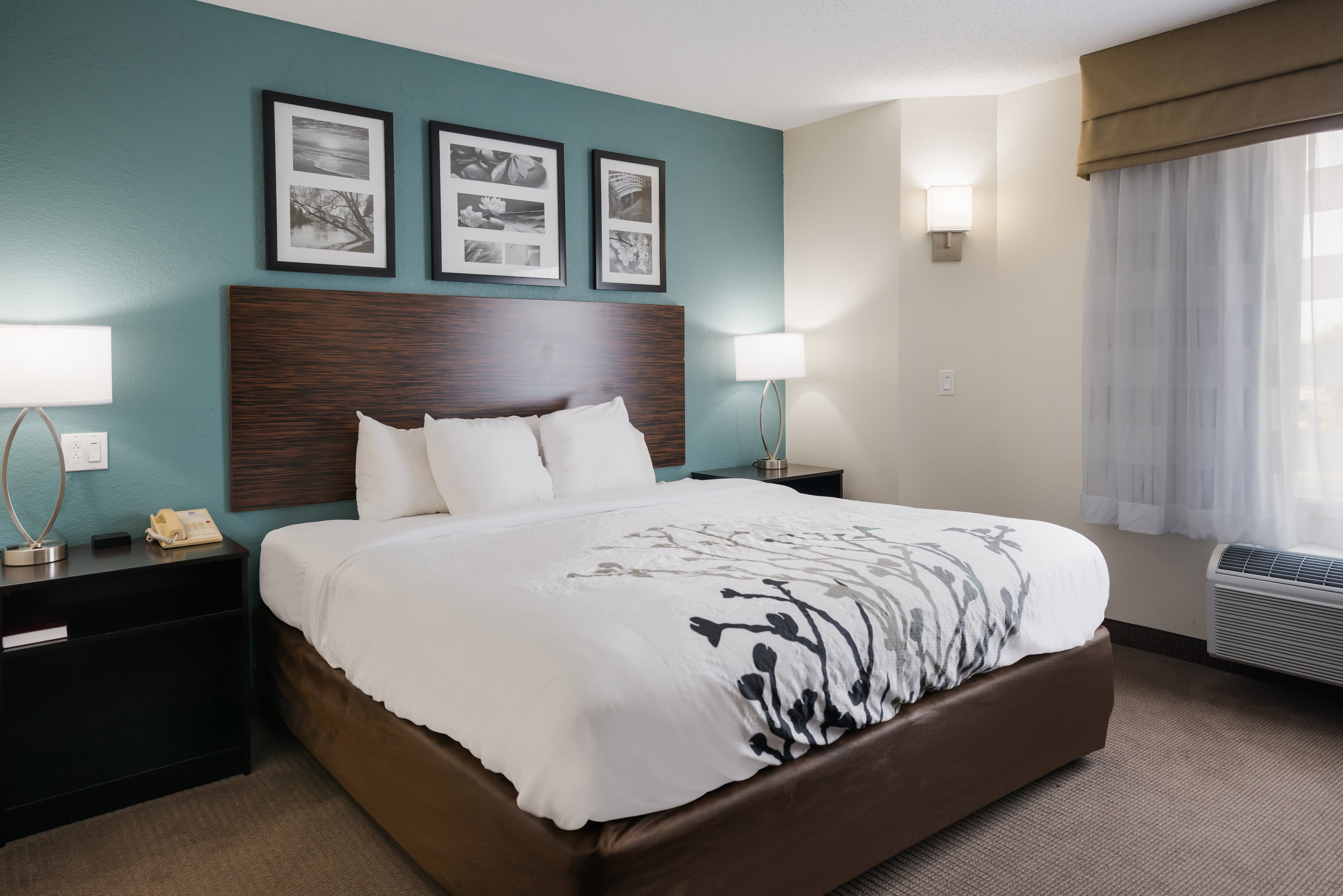 Sleep Inn & Suites Port Clinton - Image 4