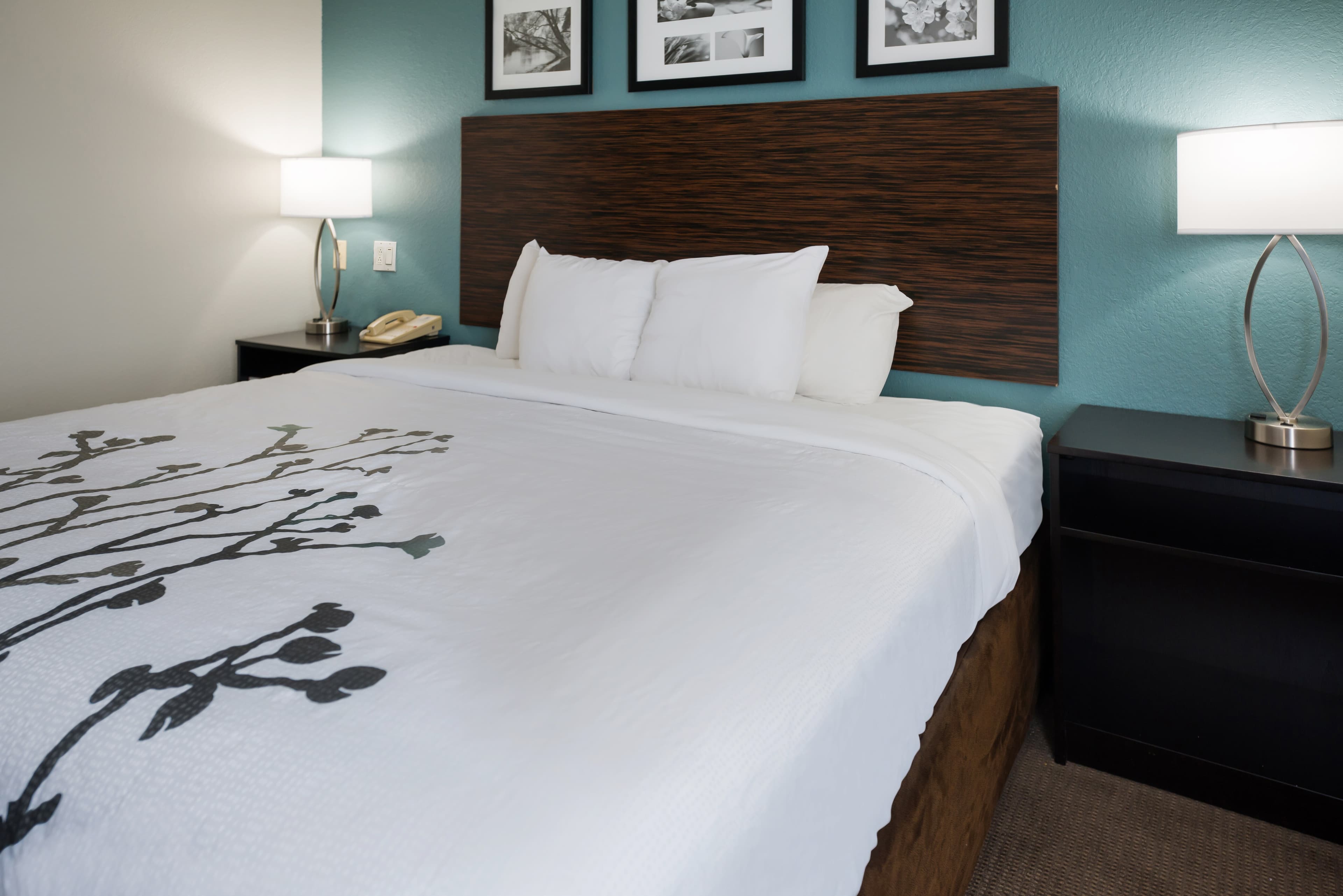 Sleep Inn & Suites Port Clinton - Image 5
