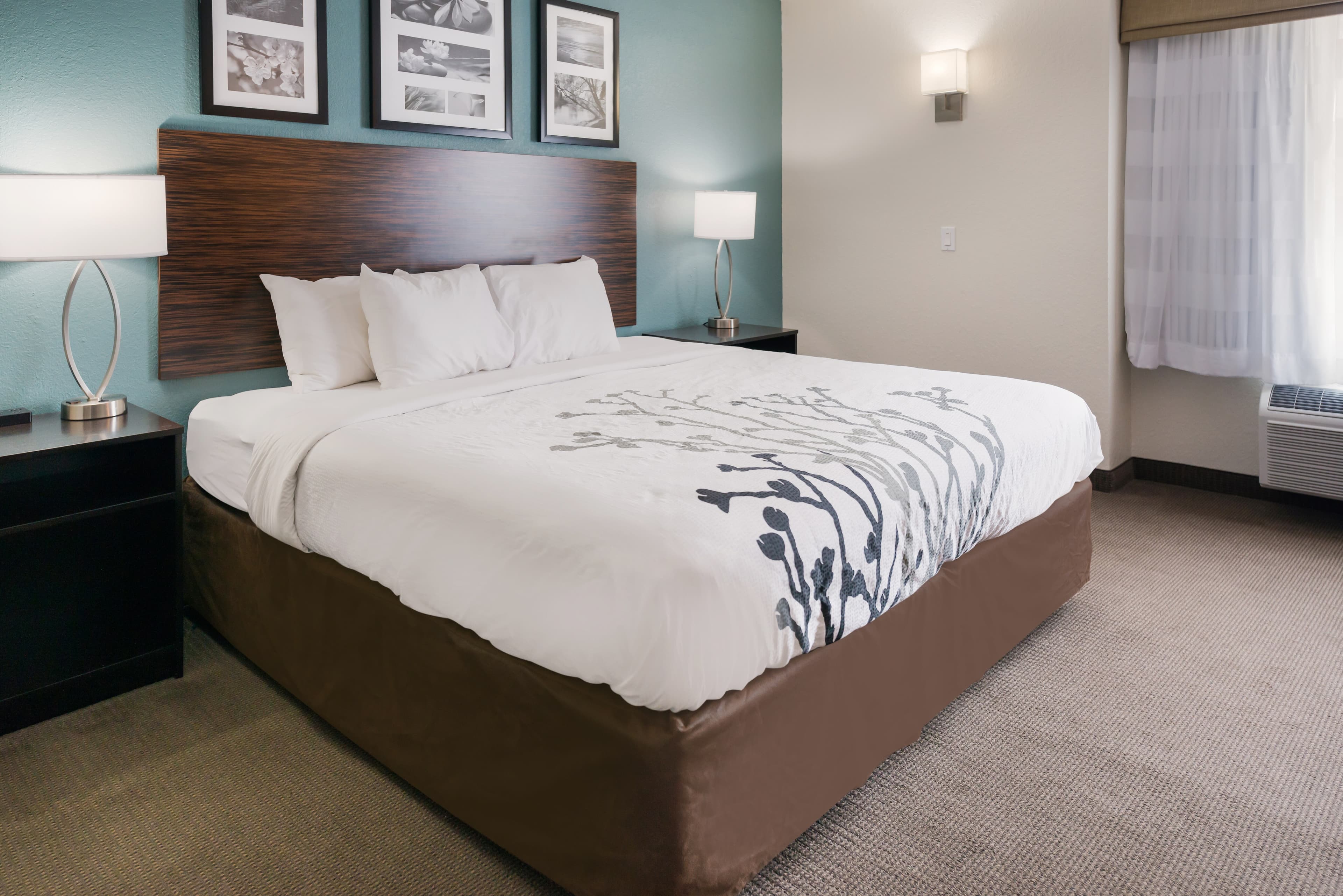 Sleep Inn & Suites Port Clinton — 16