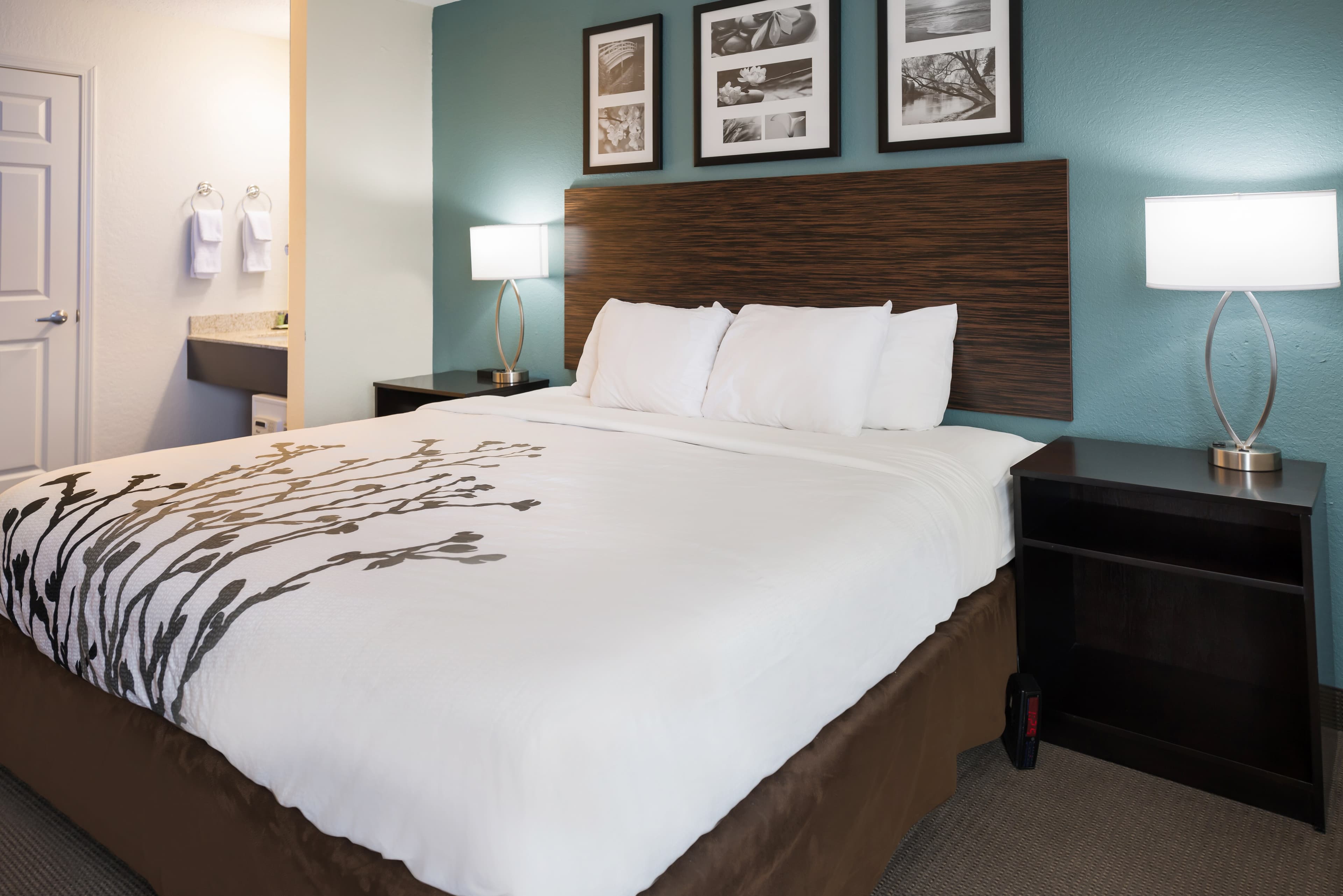 Sleep Inn & Suites Port Clinton — 18
