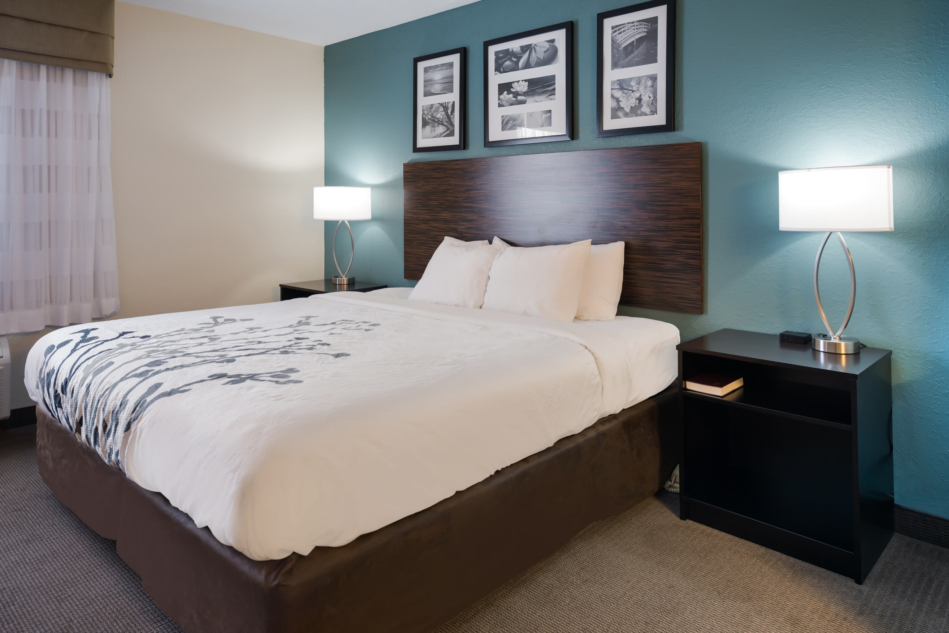 Sleep Inn & Suites Port Clinton — 25