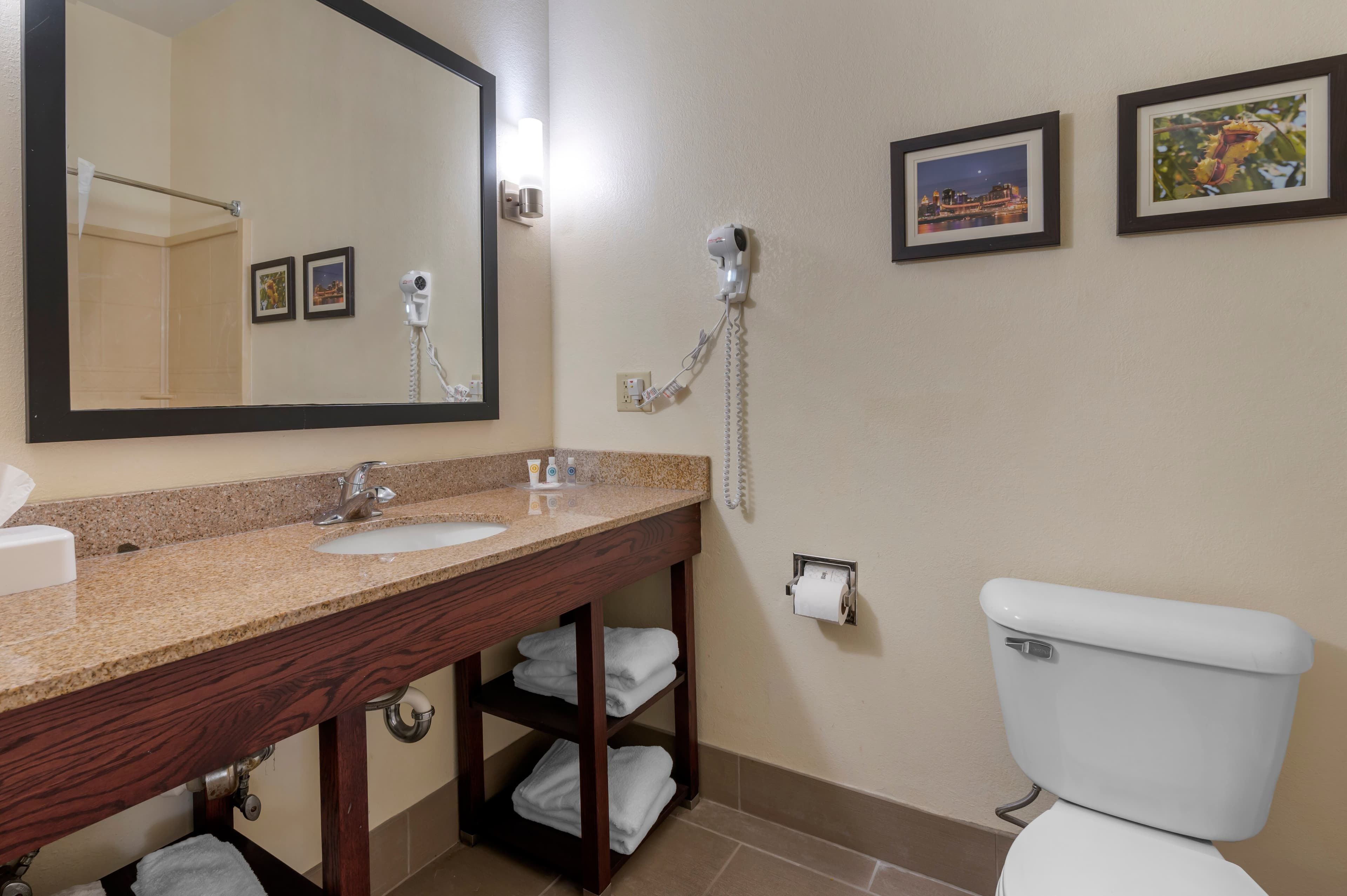 Comfort Suites Miamisburg - Dayton South — 22